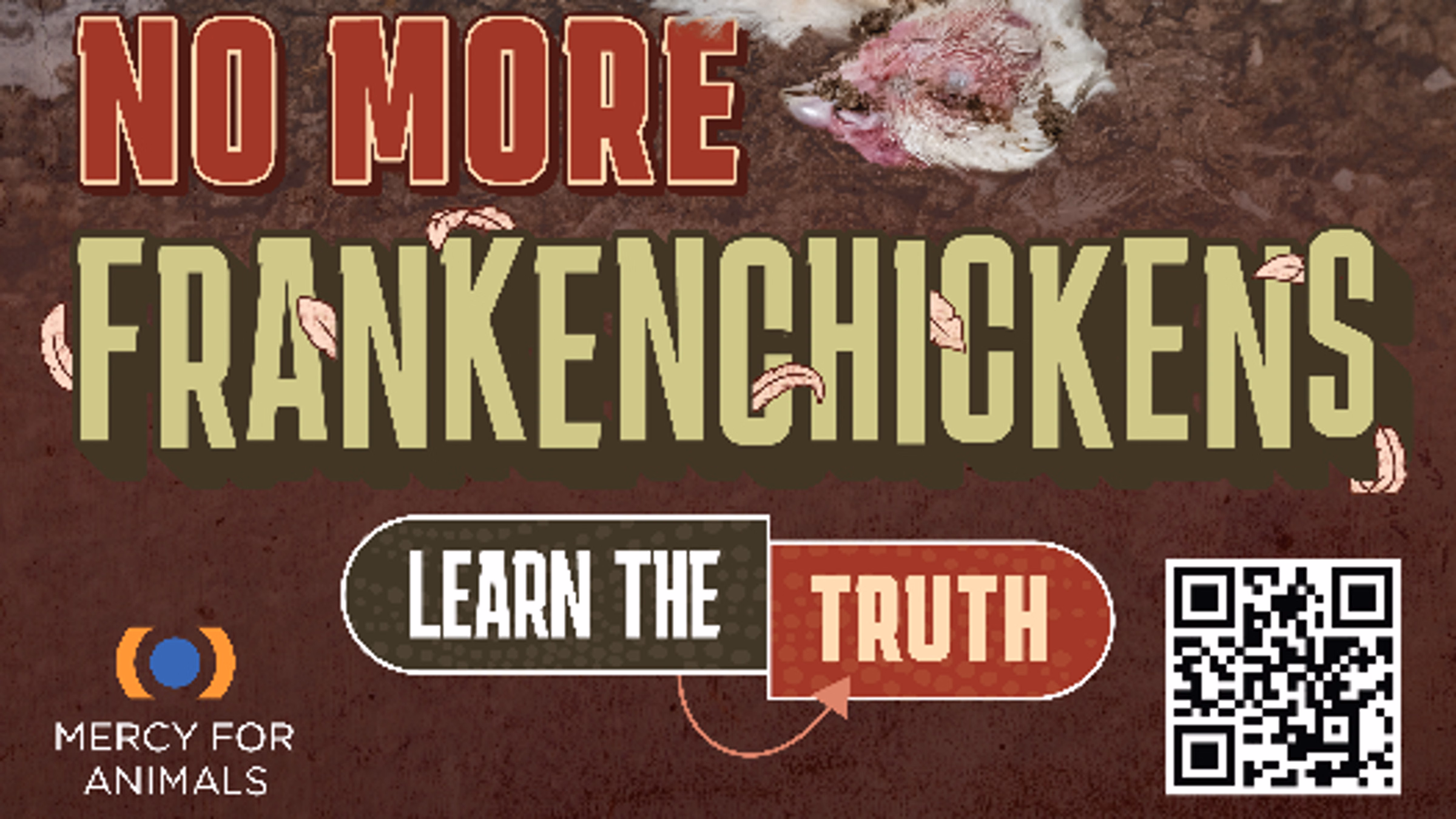 Mercy For Animals Frankenchickens Campaign Launch Call