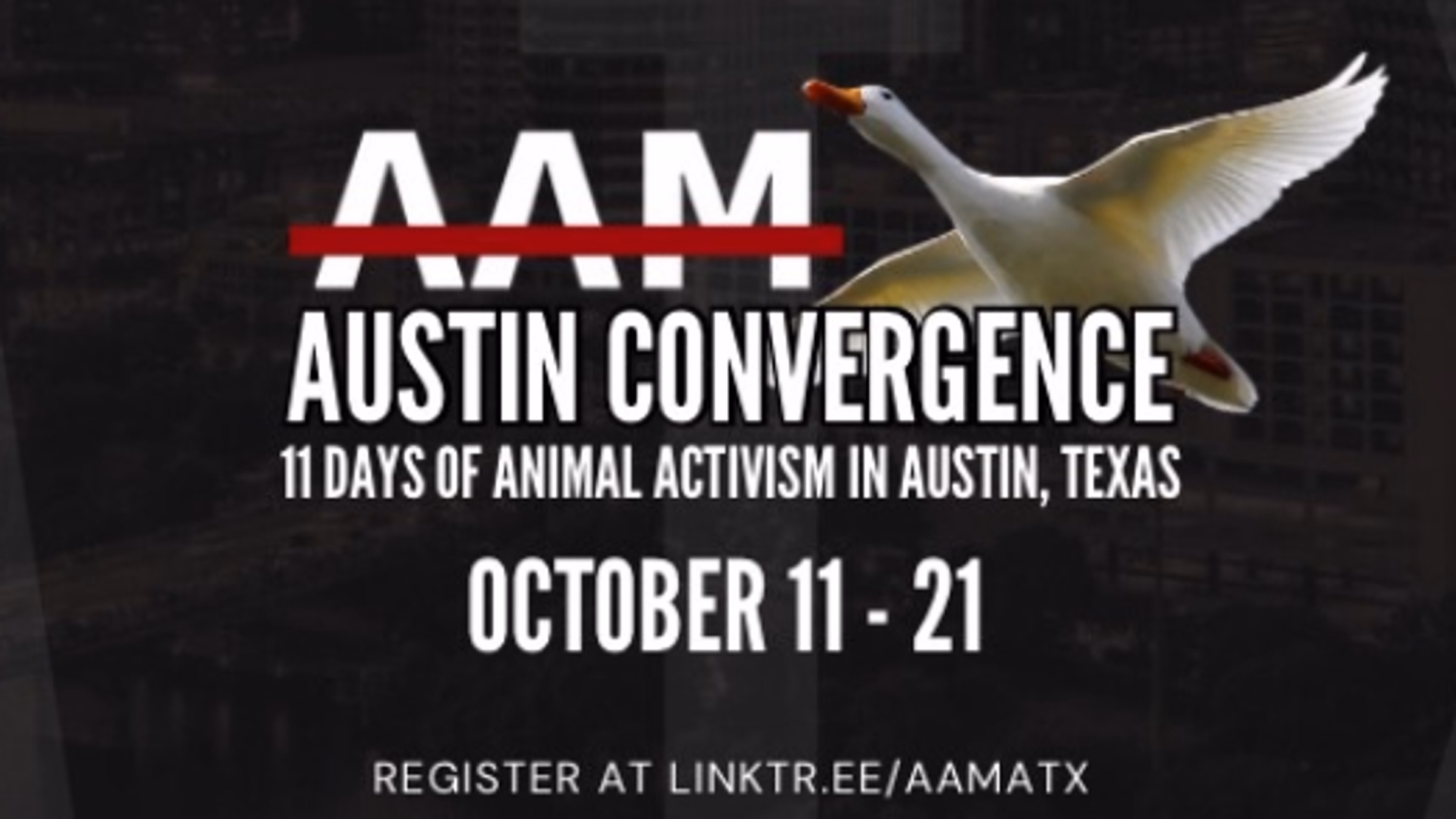 AAM Austin Convergence