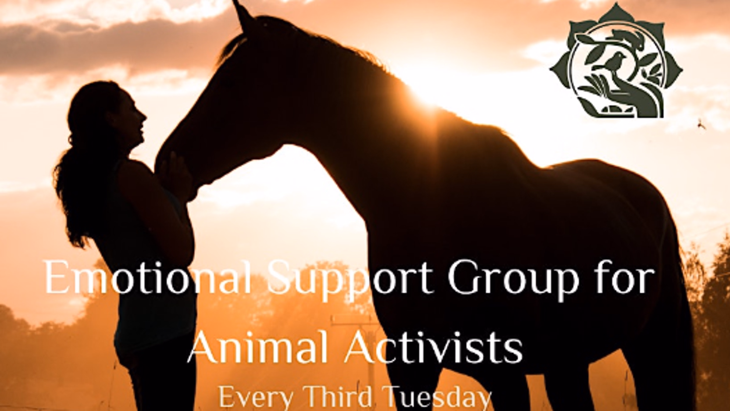 Emotional Support Group for Animal Activists