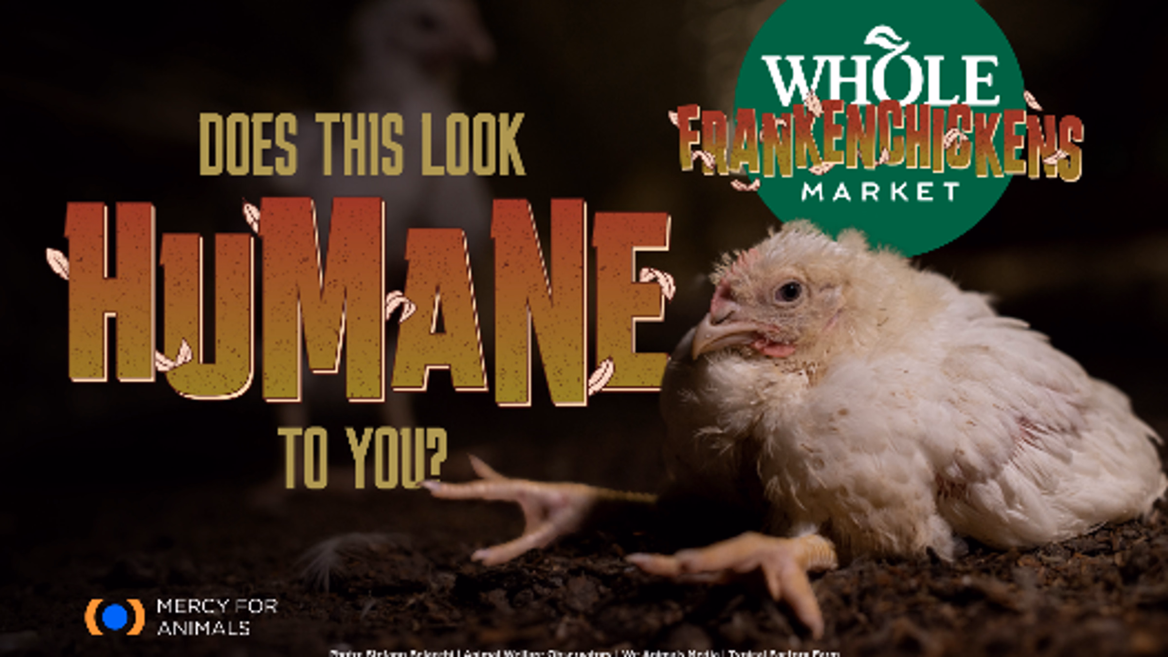PROTEST: Expose Whole Foods' Animal Cruelty!