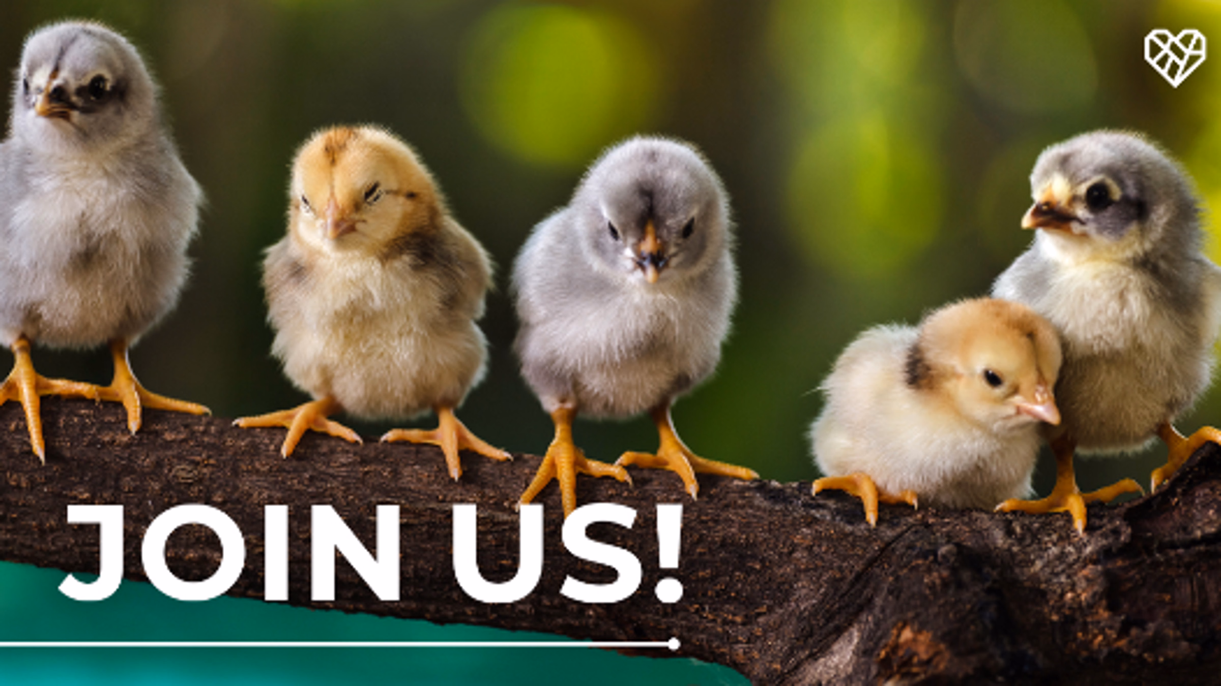 Portland, OR: Protest To End Cages At Crumbl!