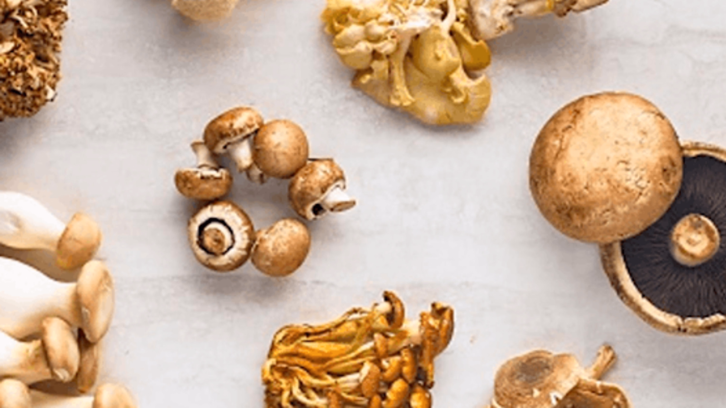 Meatless Meals: Mastering Mushrooms
