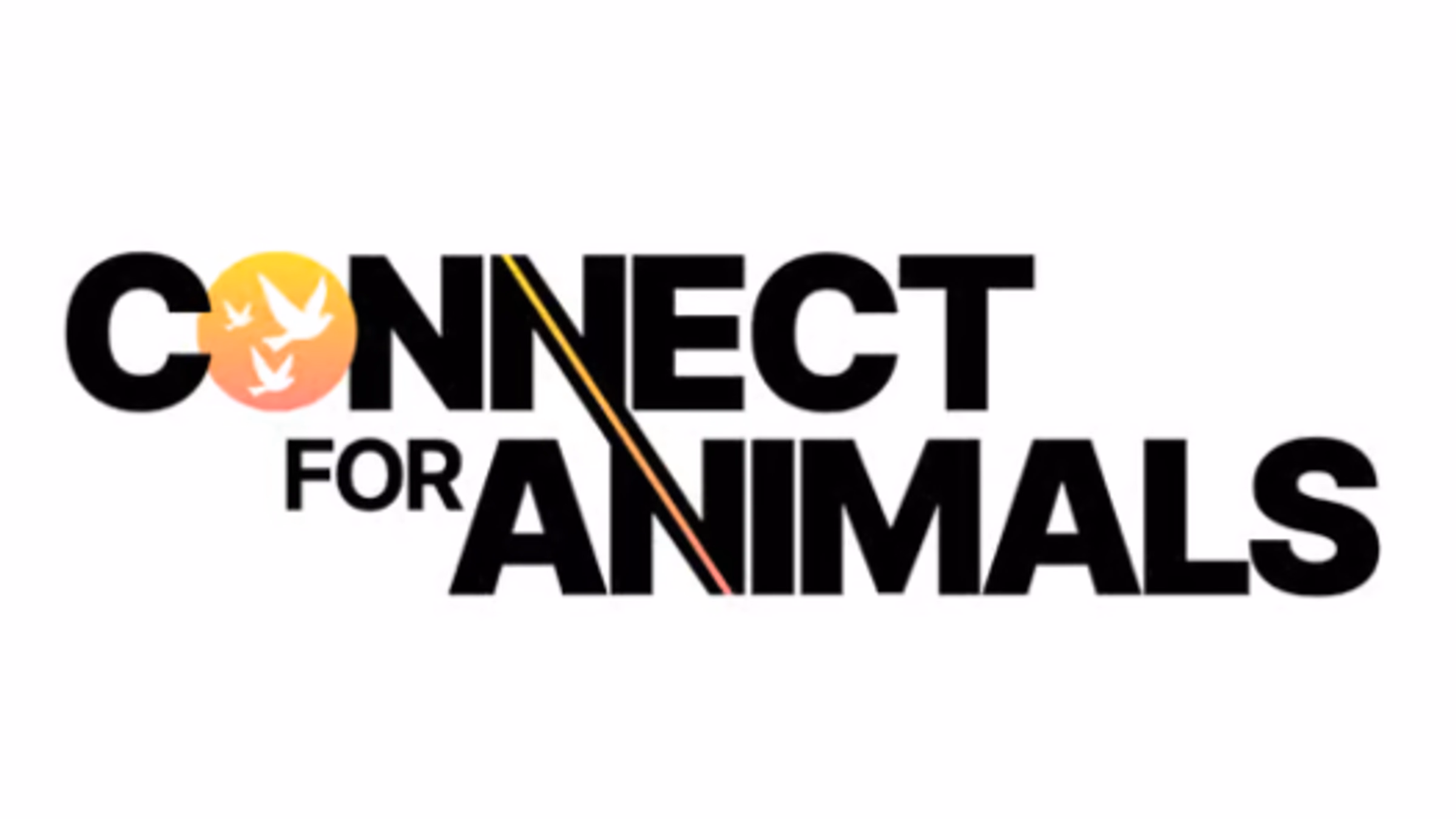 Powering The Movement: A Connect For Animals DC Launch Party