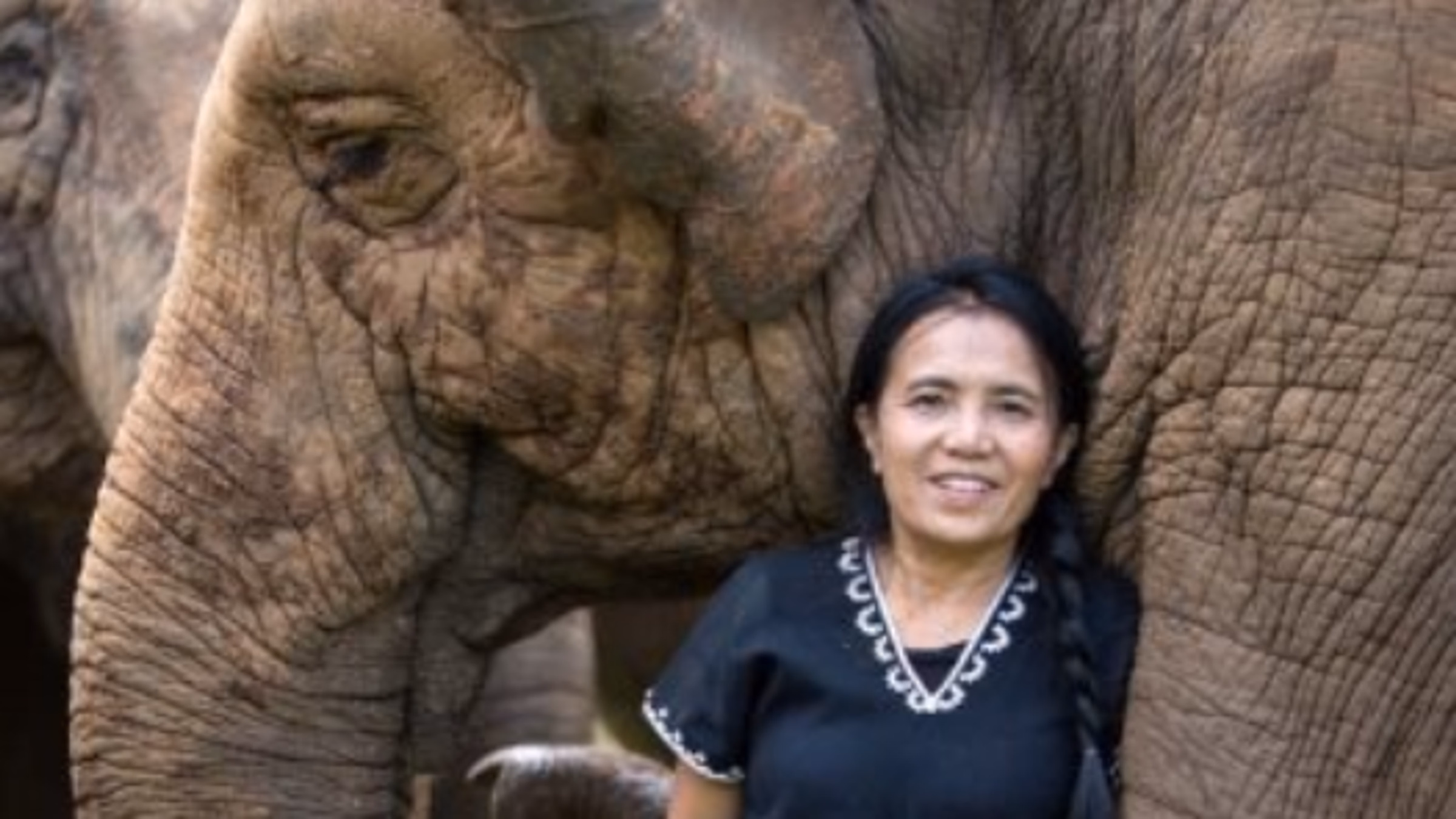 The Future Roams Free: A Special Screening of Elephant Mother Starring Lek Chailert