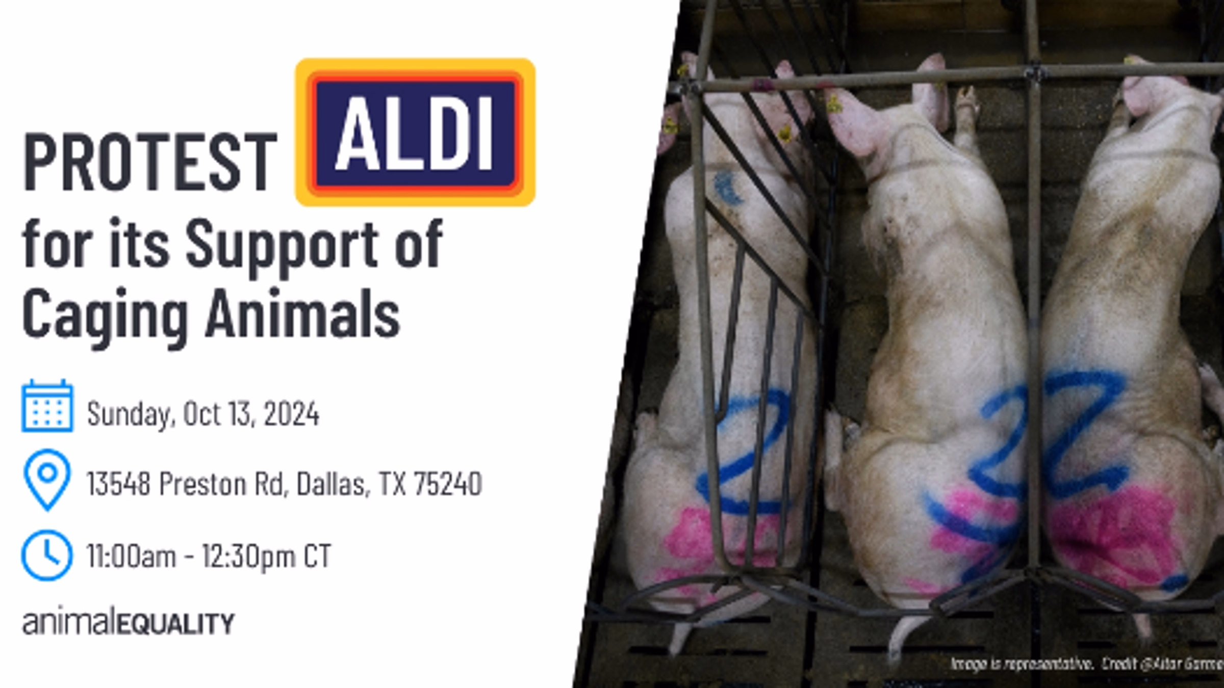 Protest Aldi's Support of Cages for Animals