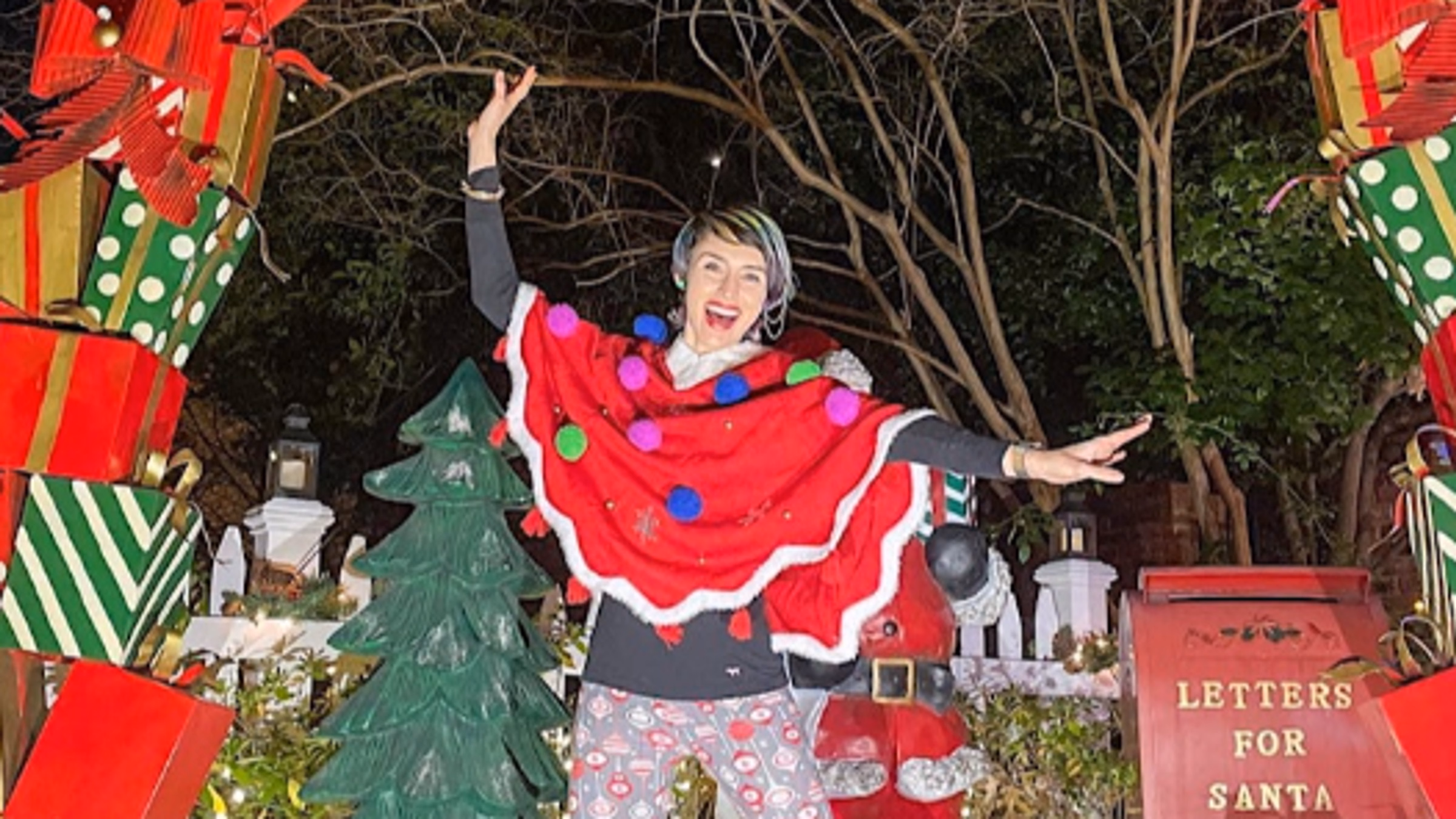 Vegan Christmas Lights & Treats Tour