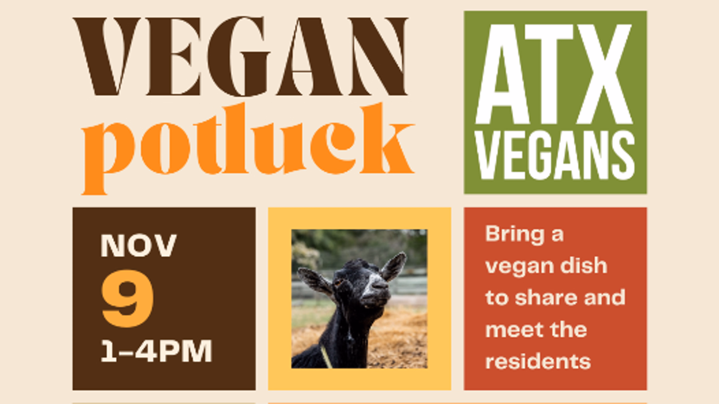 Friendsliving Vegan Potluck at Austin Farm Sanctuary