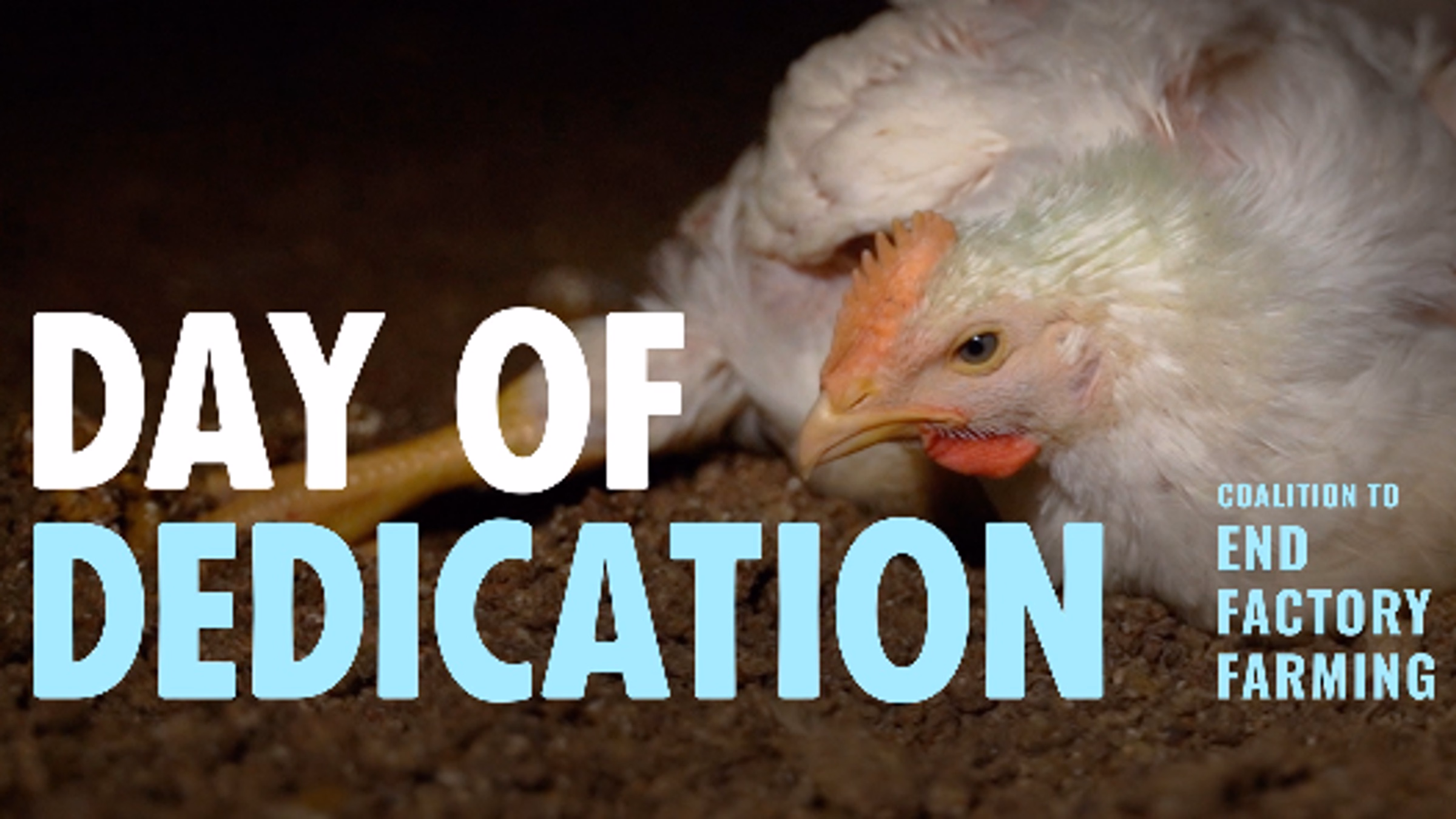 Day of Dedication