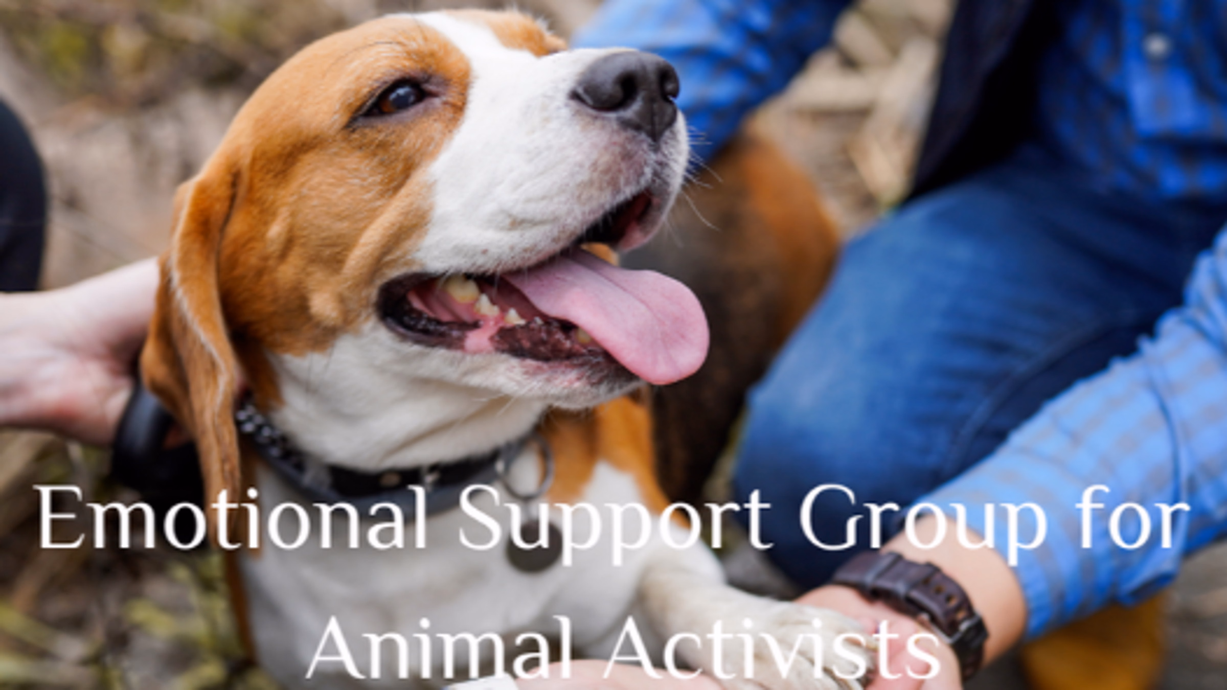 Emotional Support Group for Animal Activists & Animal Caregivers