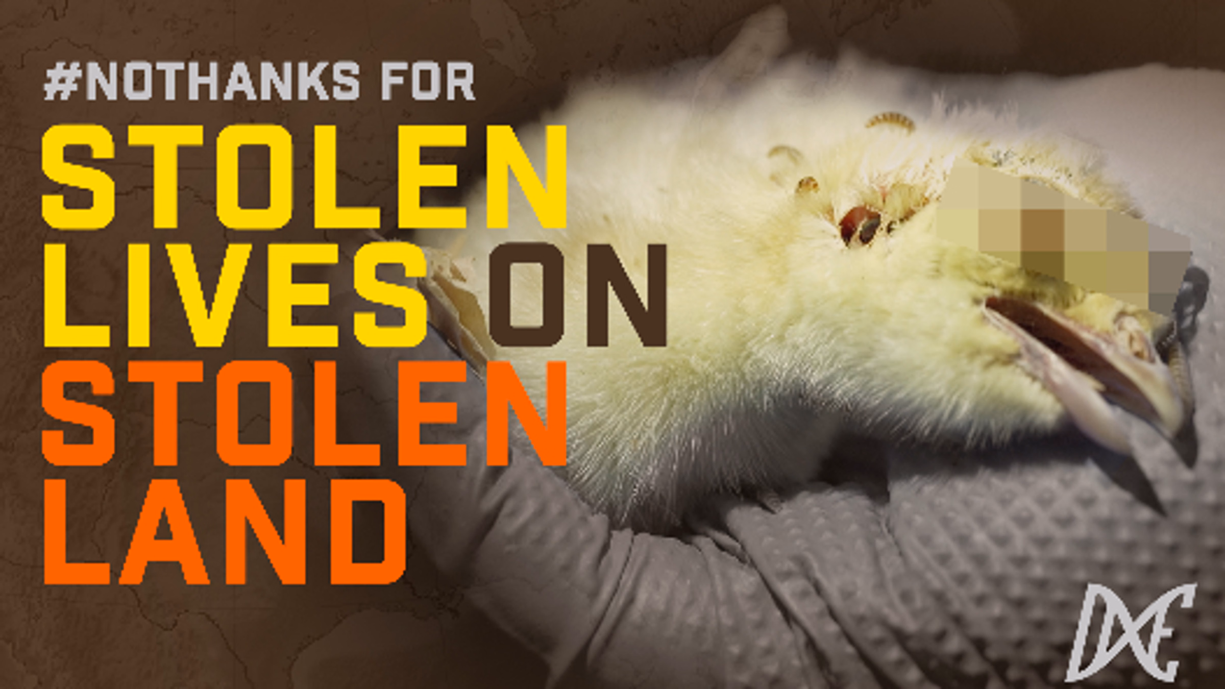 No Thanks for Stolen Lives on Stolen Land