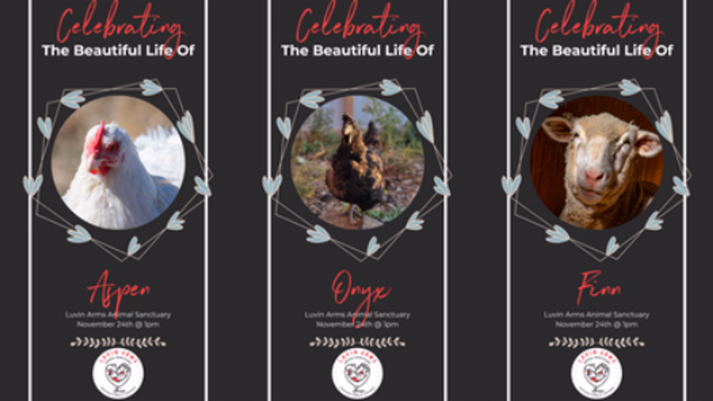 Celebration of Life for Aspen, Laxmi, Teddy, and Onyx at Luvin Arms Animal Sanctuary