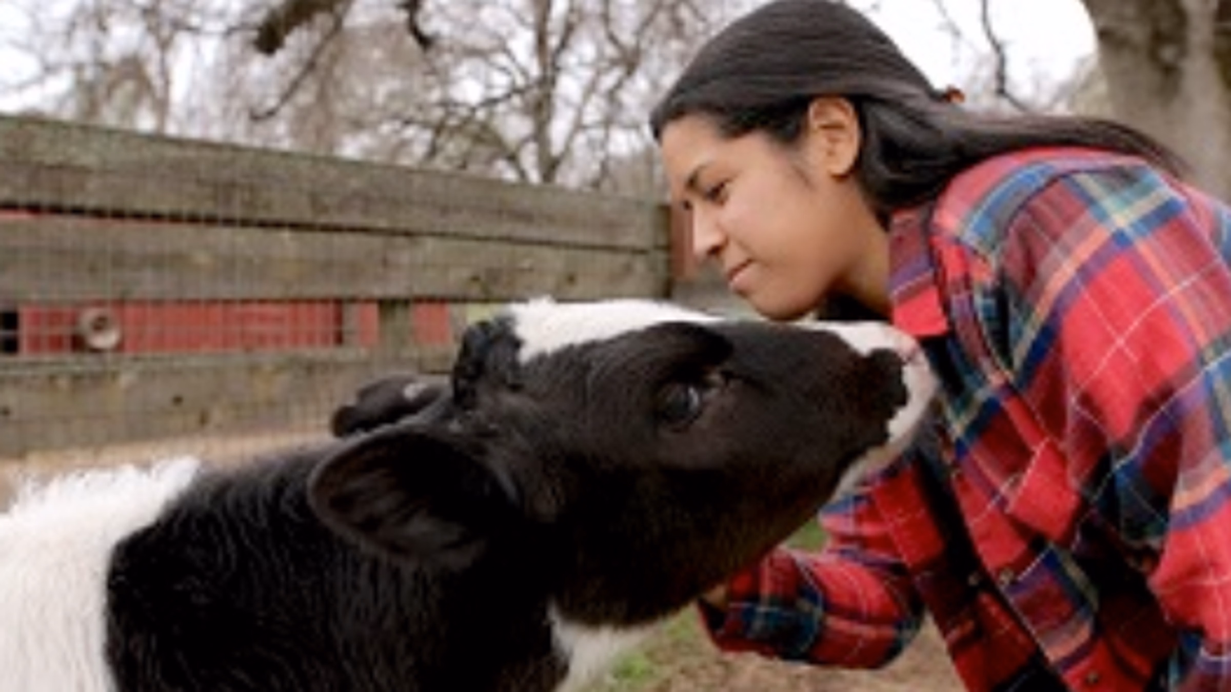Animal Outlook Town Hall: An Evening with Investigator Erin Wing