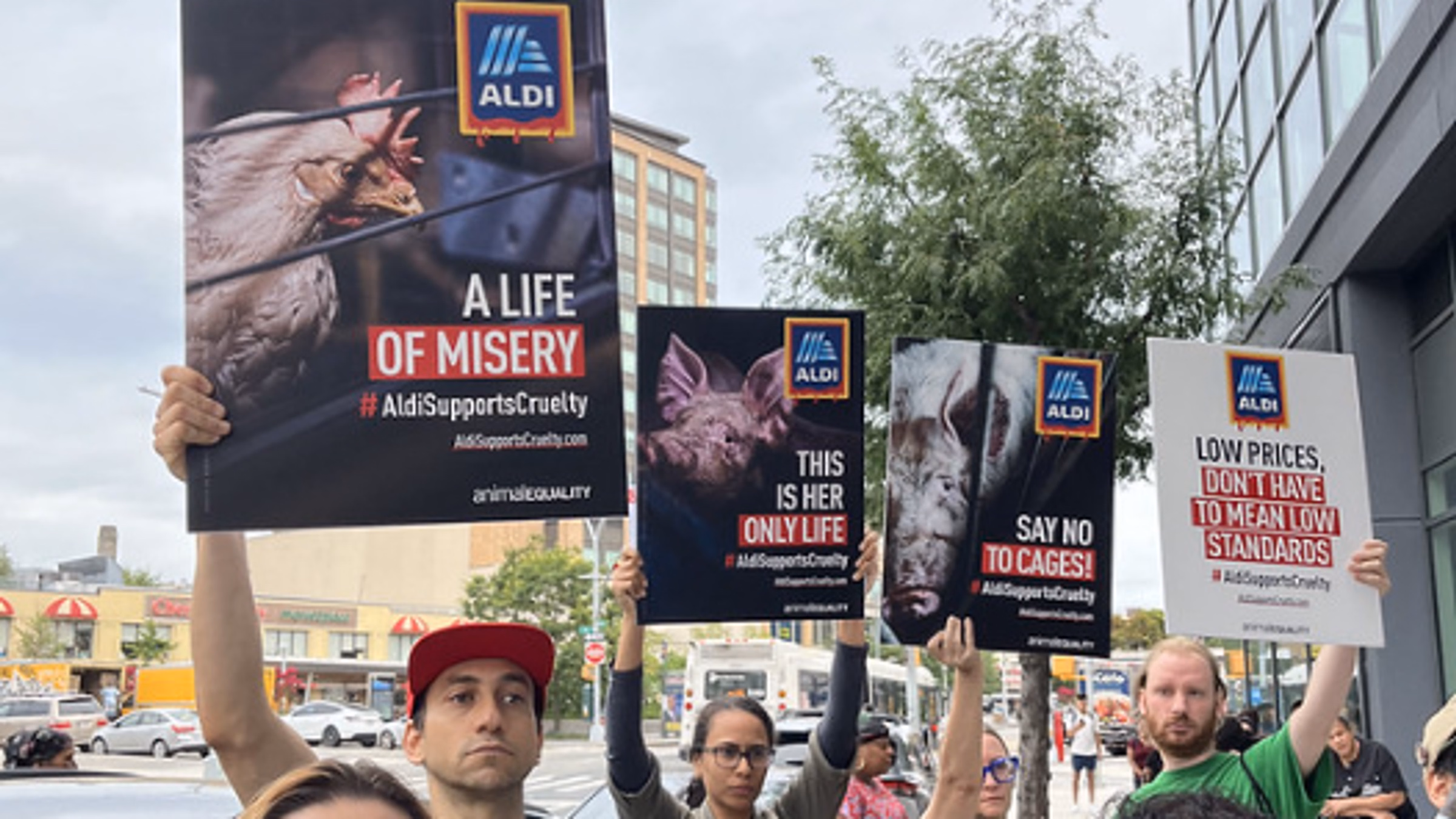 Protest Animal Cruelty at ALDI's Grand Opening (Washington, DC)