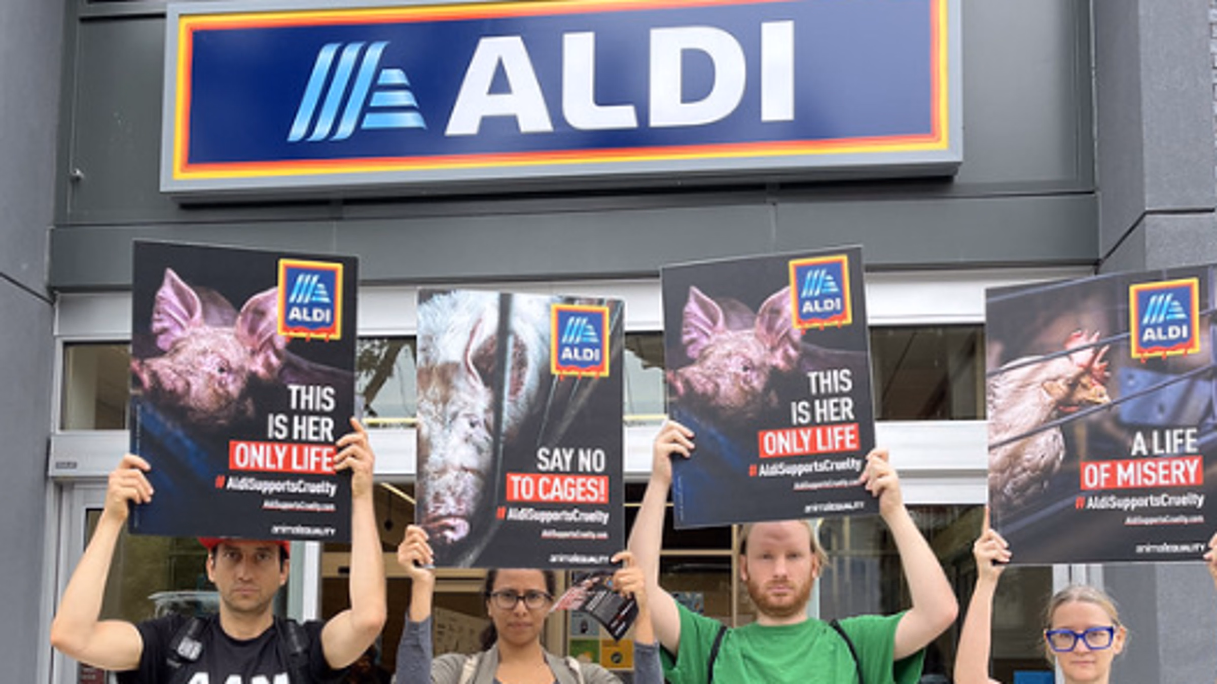 Protest Animal Cruelty at ALDI's Grand Opening (Pittsburgh, PA)