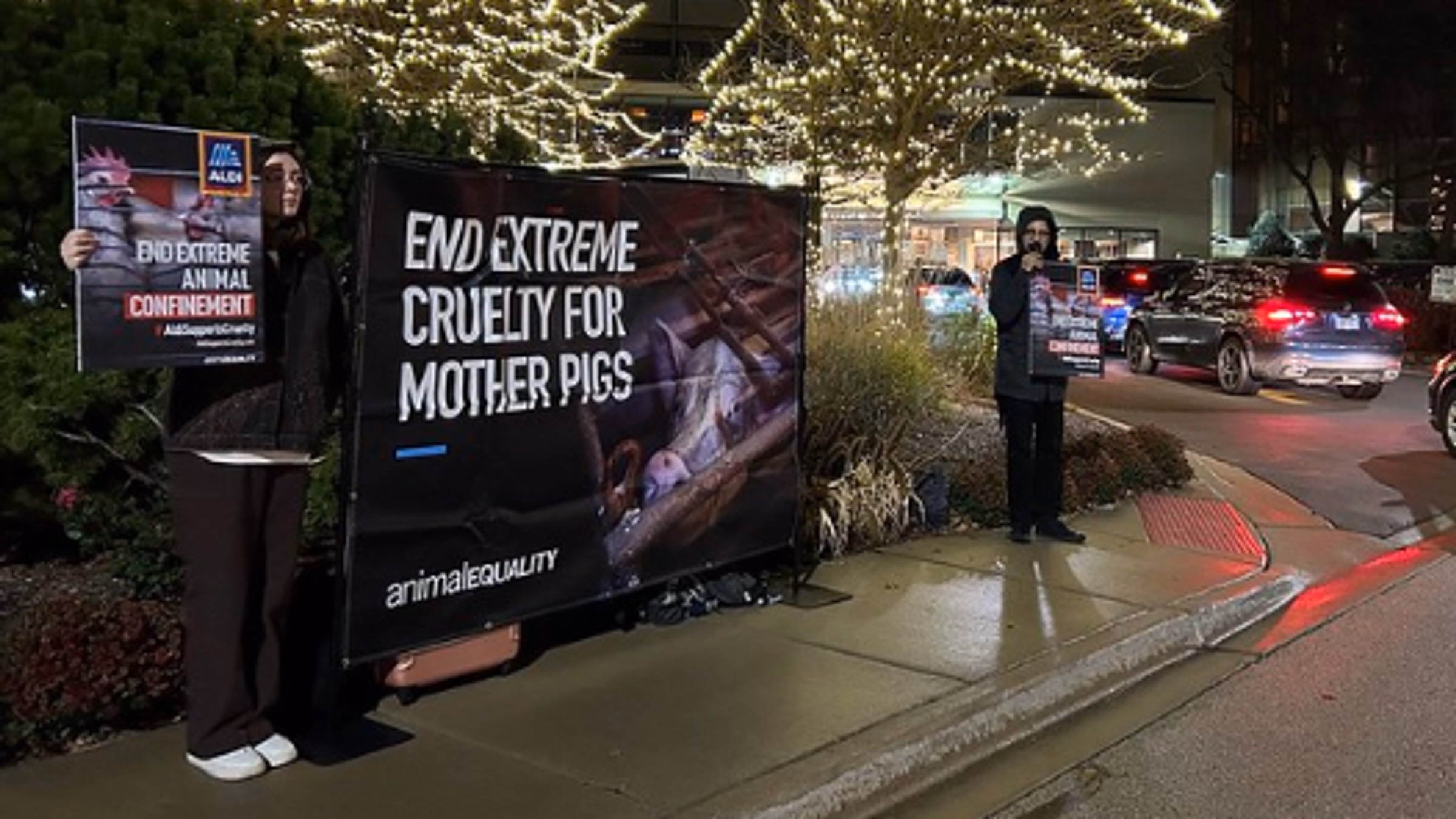 Protest Aldi Cruelty at Grand Opening (Fulton, Missouri)