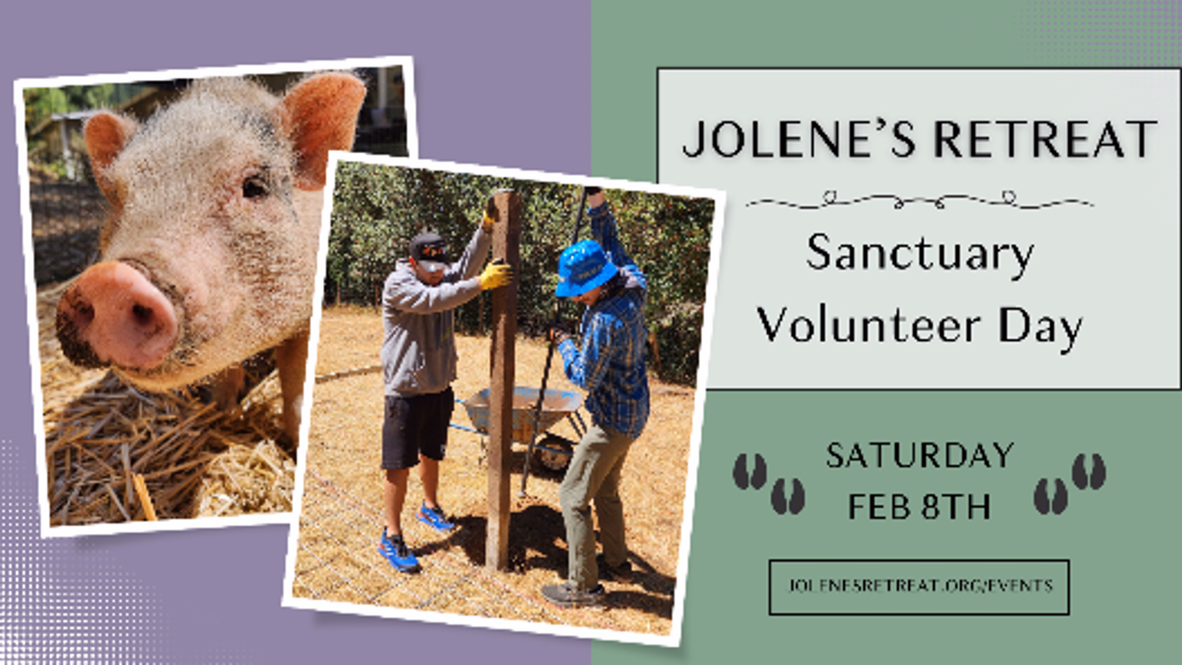 Jolene's Retreat Sanctuary Volunteer Day