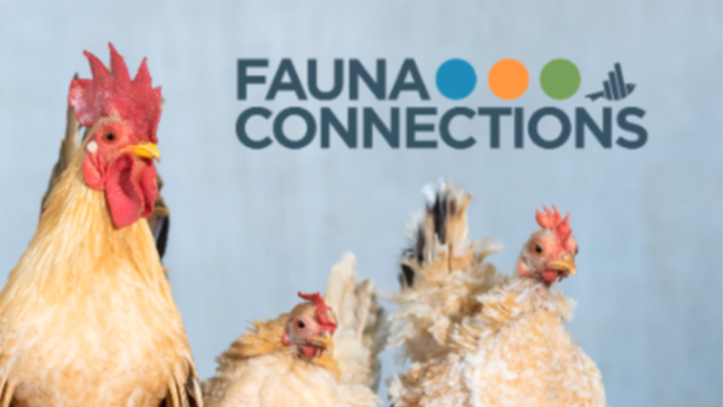 Fauna Connections: For the Animals, With the Evidence