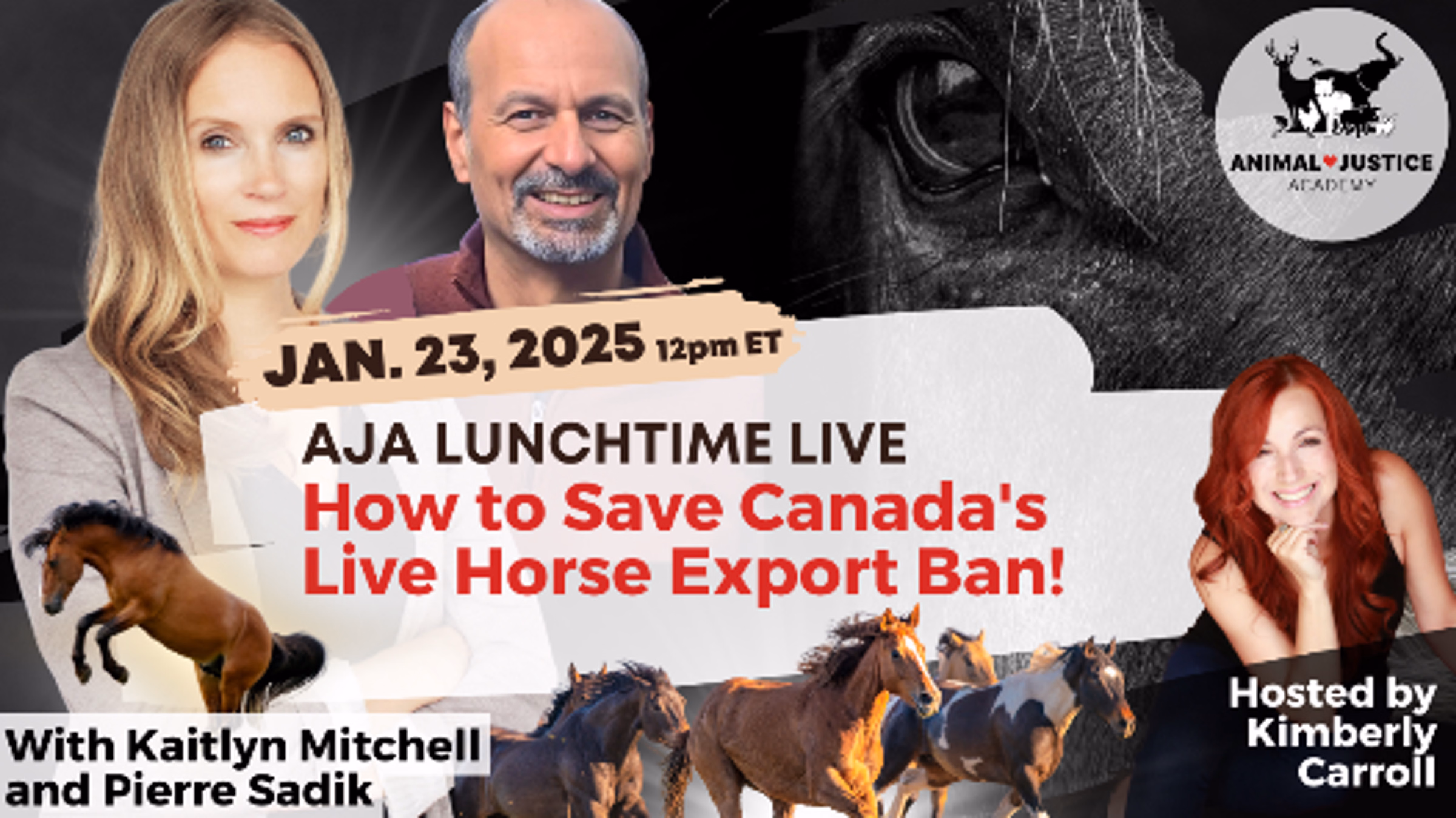 How to Save Canada's Live Horse Export Ban!