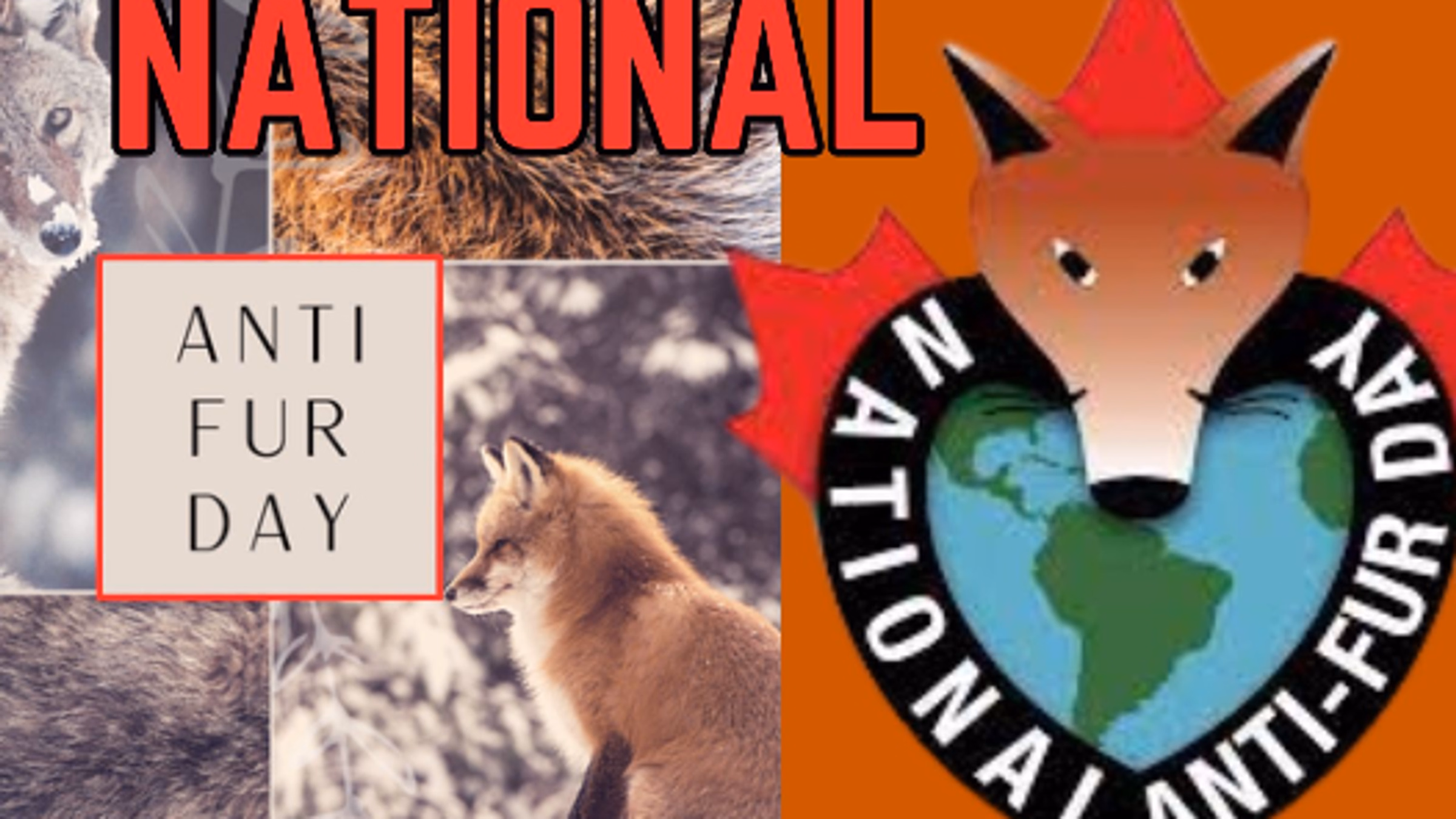 National Anti Fur Day