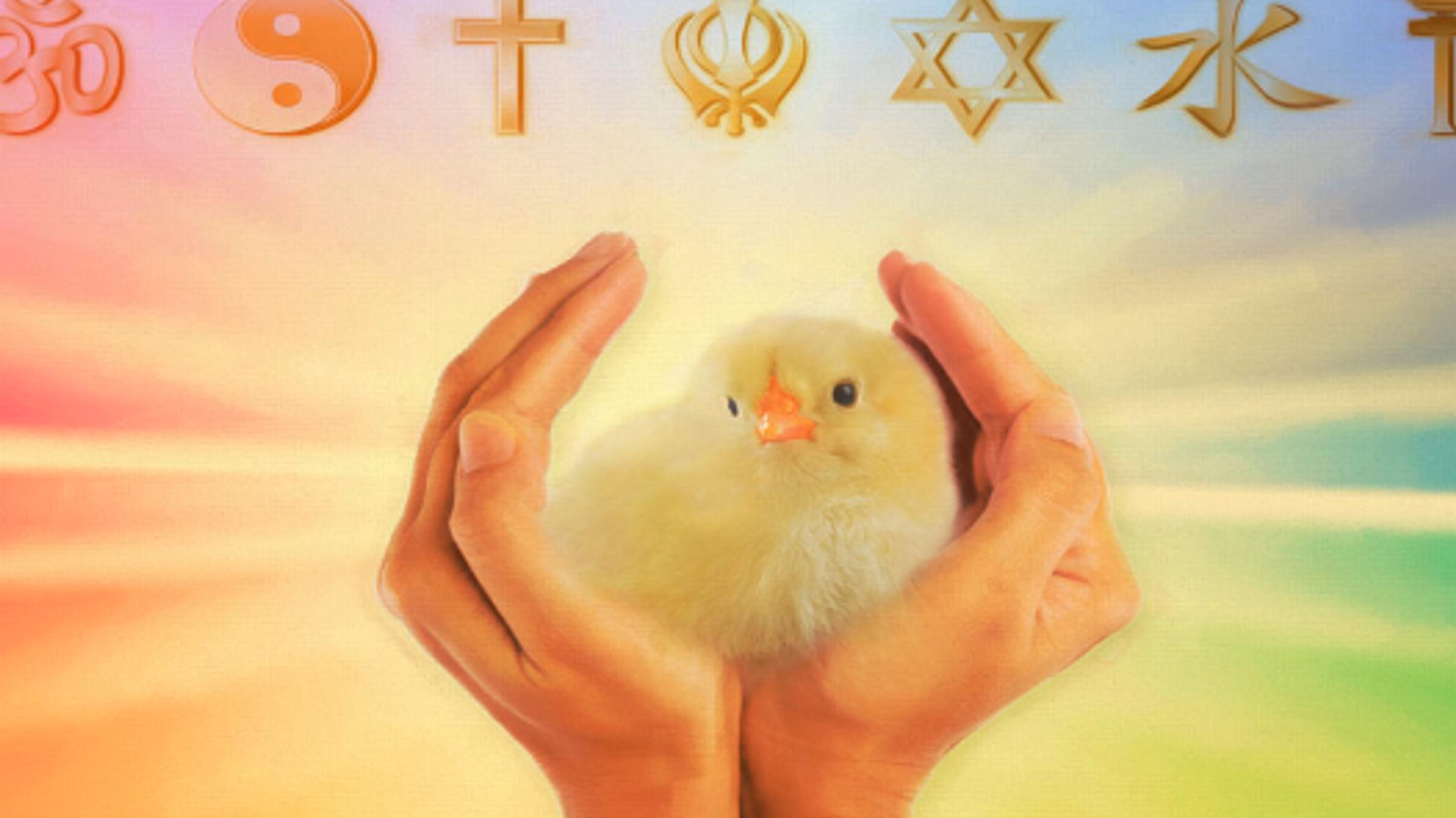Interfaith Vegan Coalition