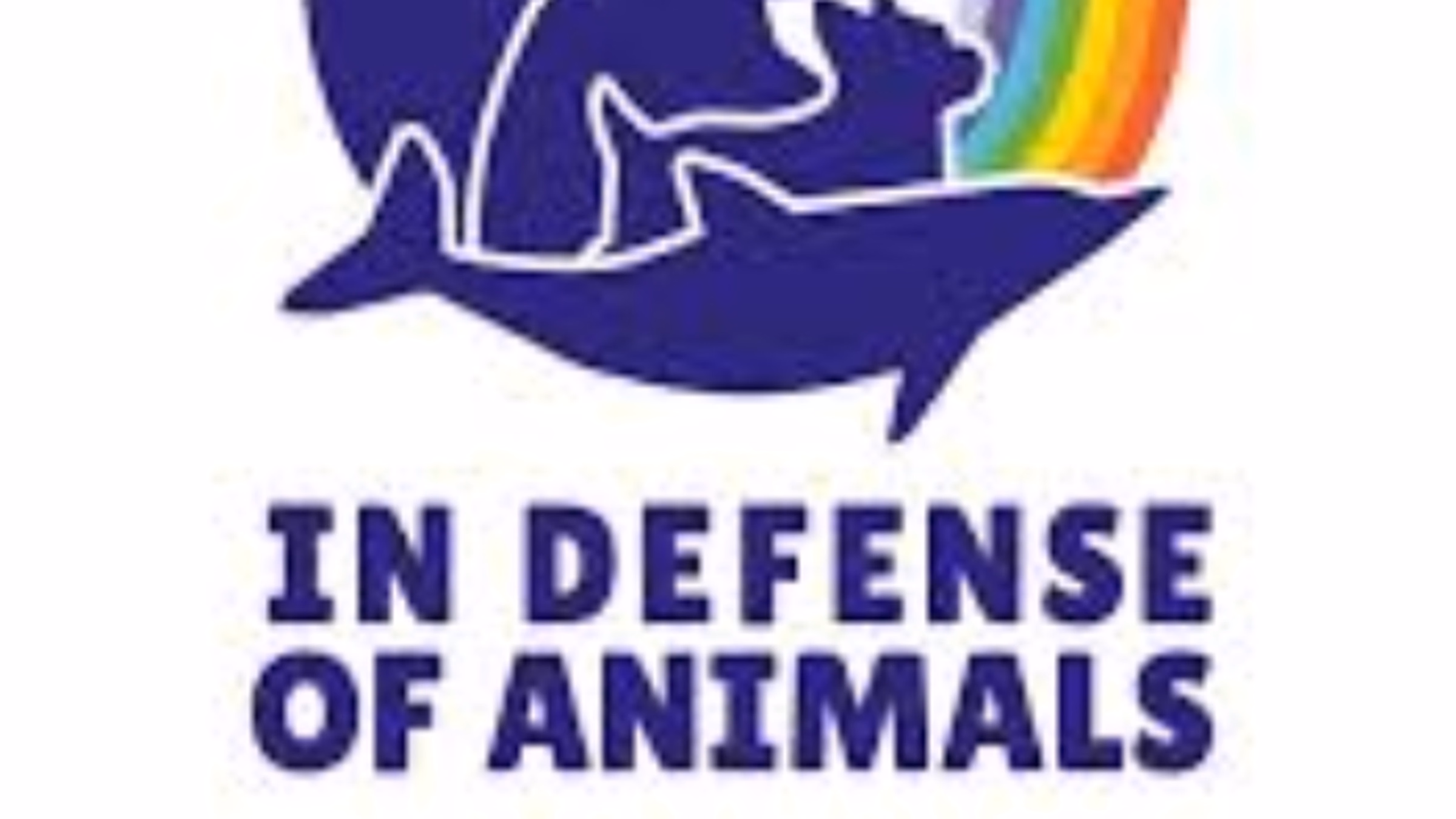 IDA Monthly Online Animal Activist Support Group
