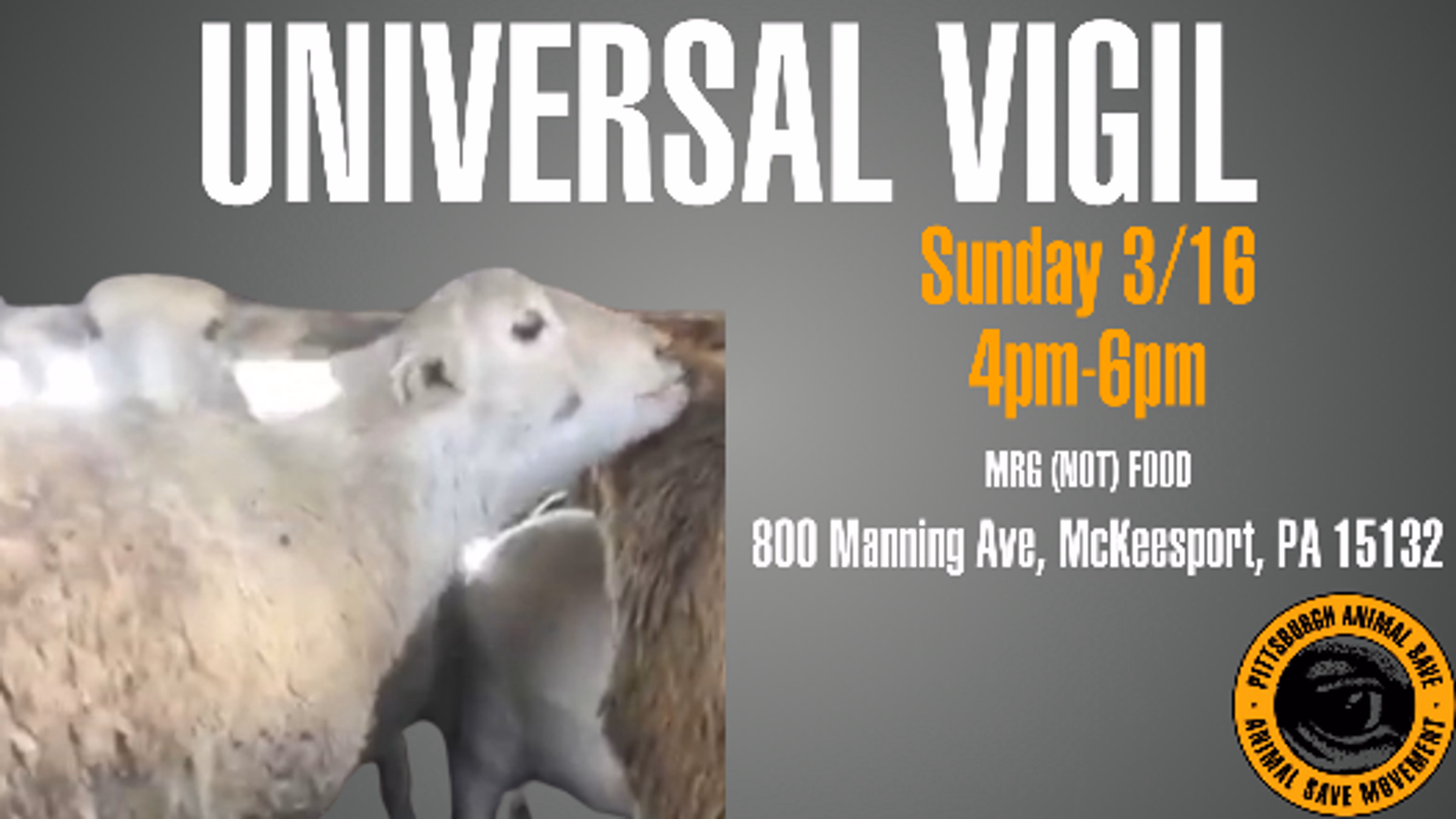 Universal Vigil with Pittsburgh Animal Save 