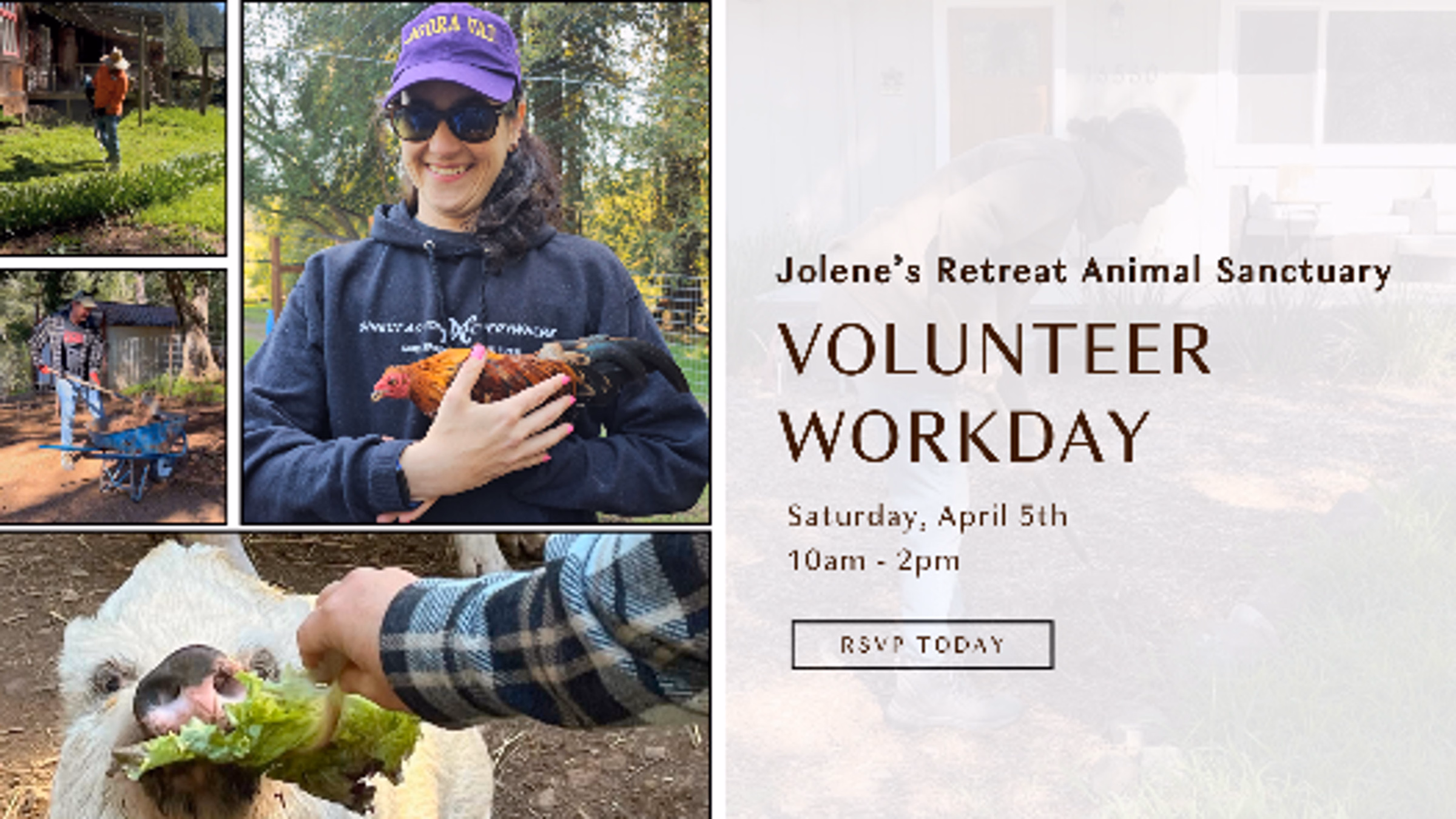 Jolene's Retreat Animal Sanctuary Volunteer Workday
