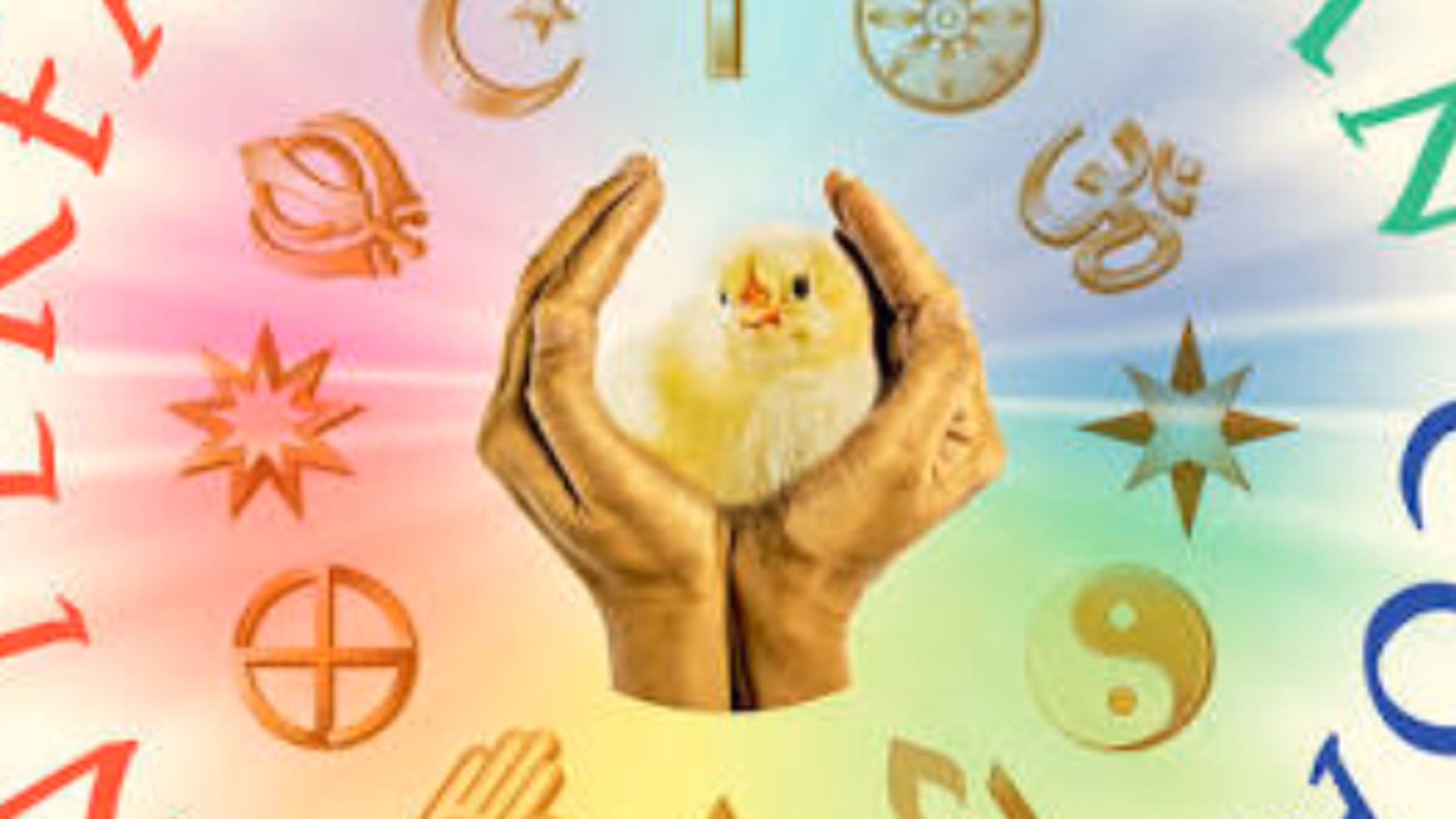 Interfaith Vegan Coalition
