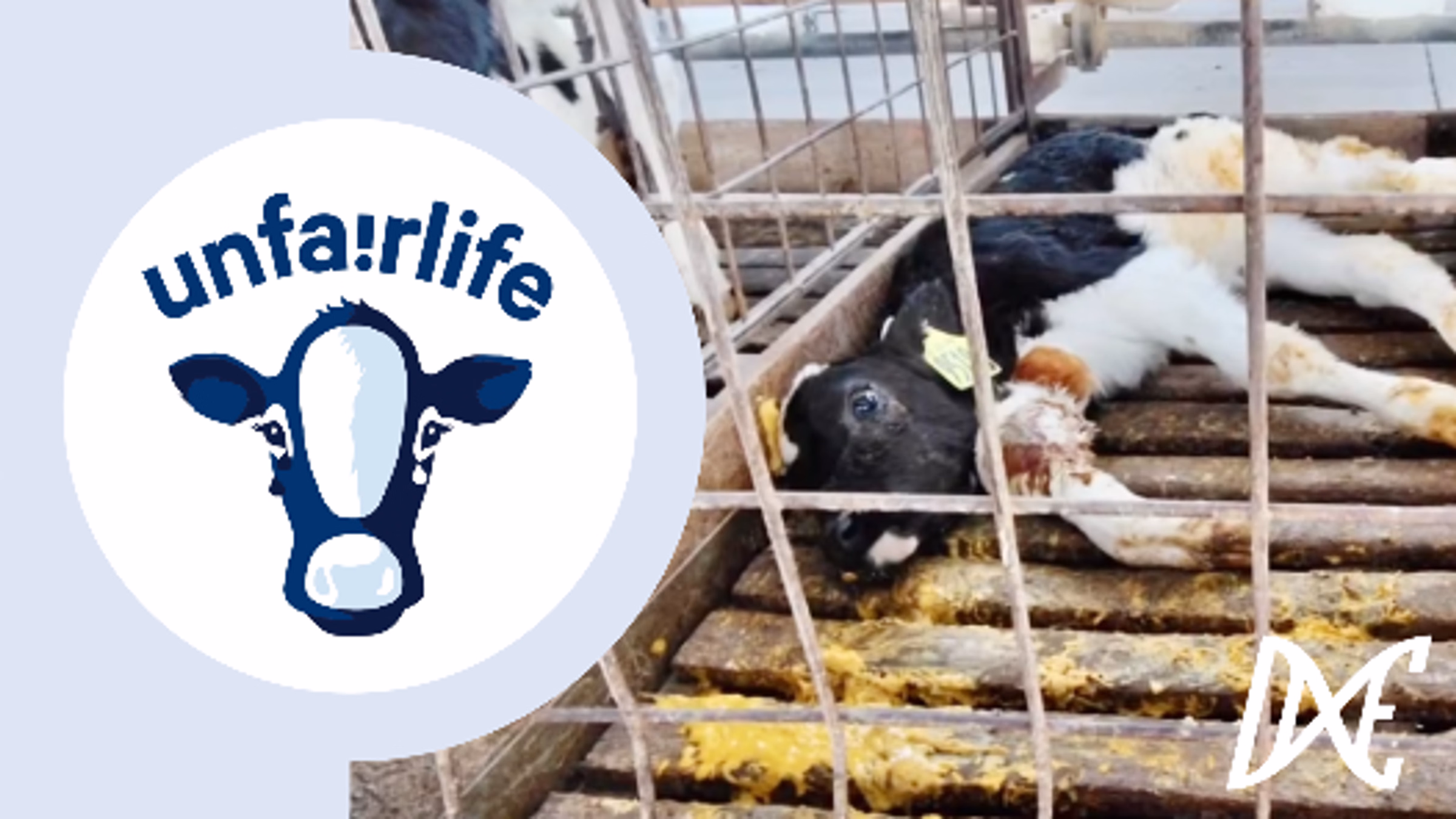 Fairlife Protest