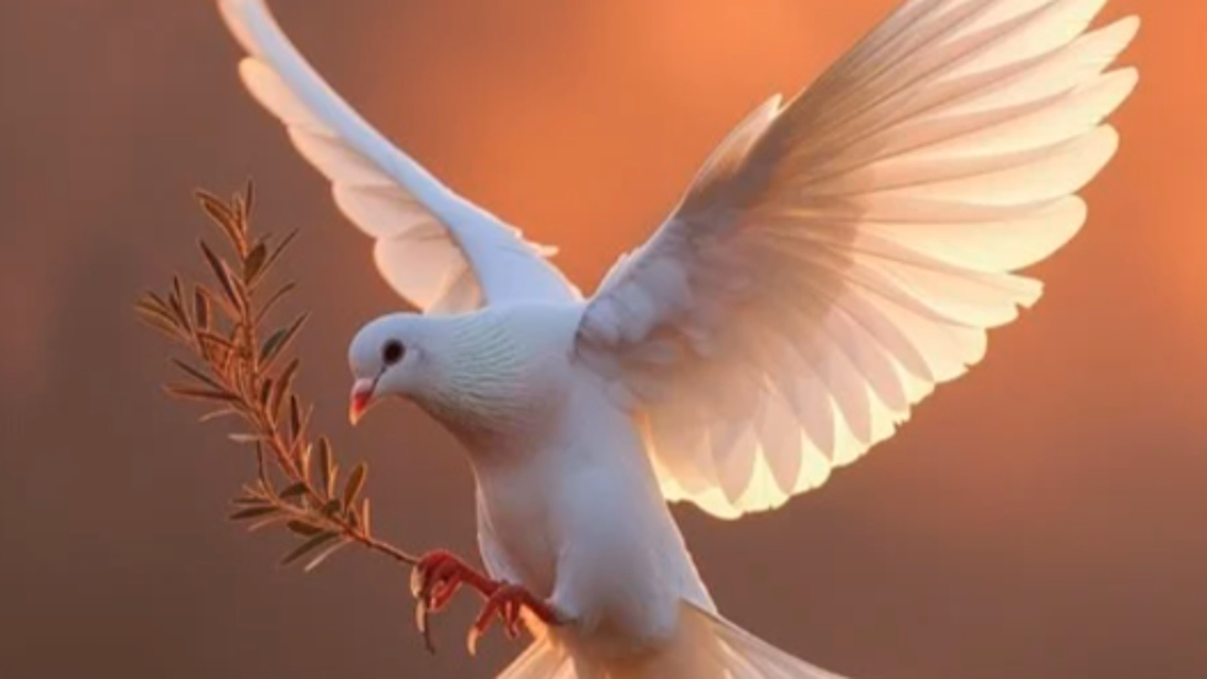 Pigeons are our Friends 