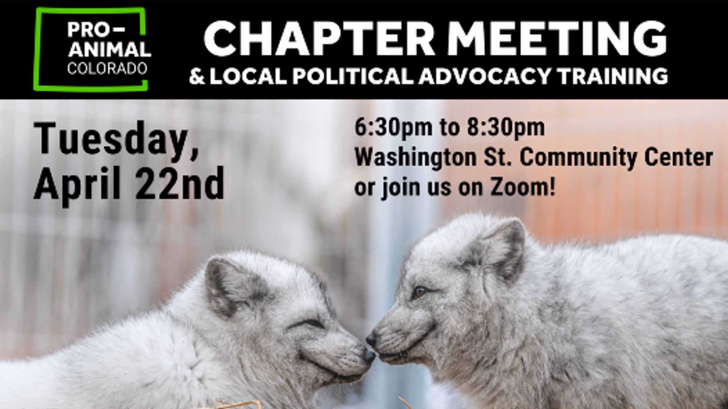 Pro-Animal Colorado April Chapter Meeting & Local Advocacy Training