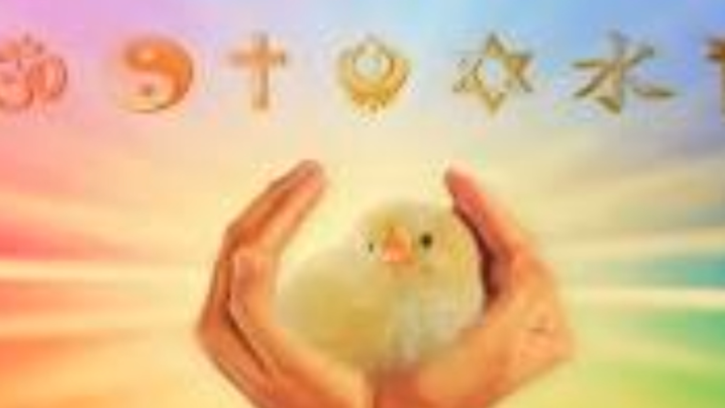 Interfaith Vegan Coalition