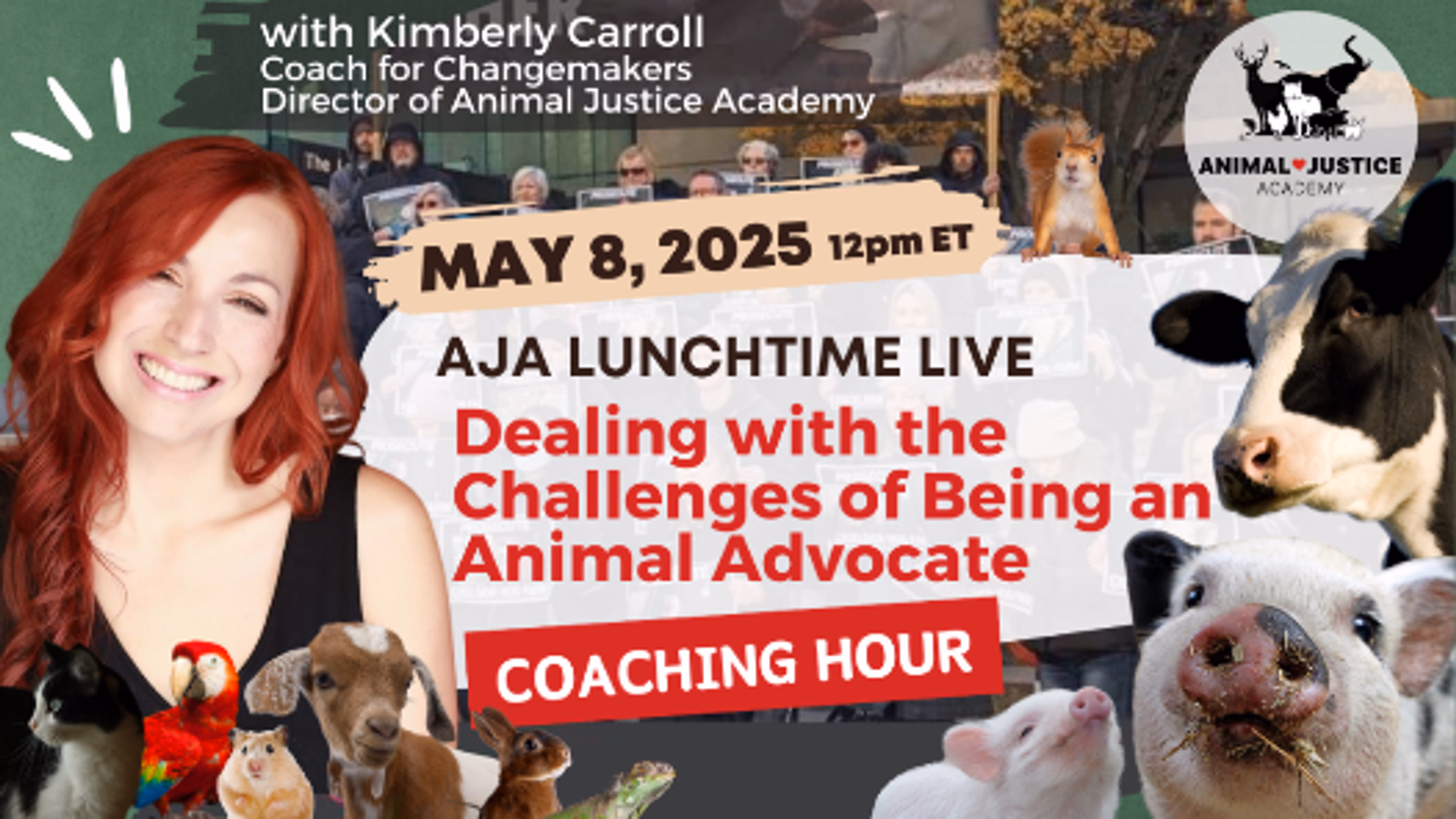 Dealing with the Challenges of Being an Animal Advocate