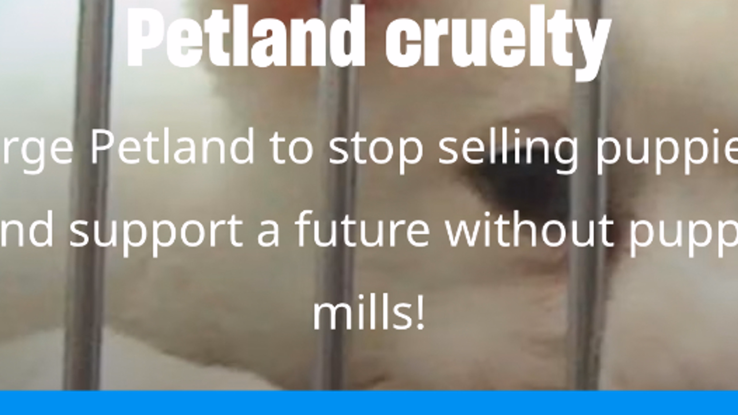 Petland puppy mill protest
