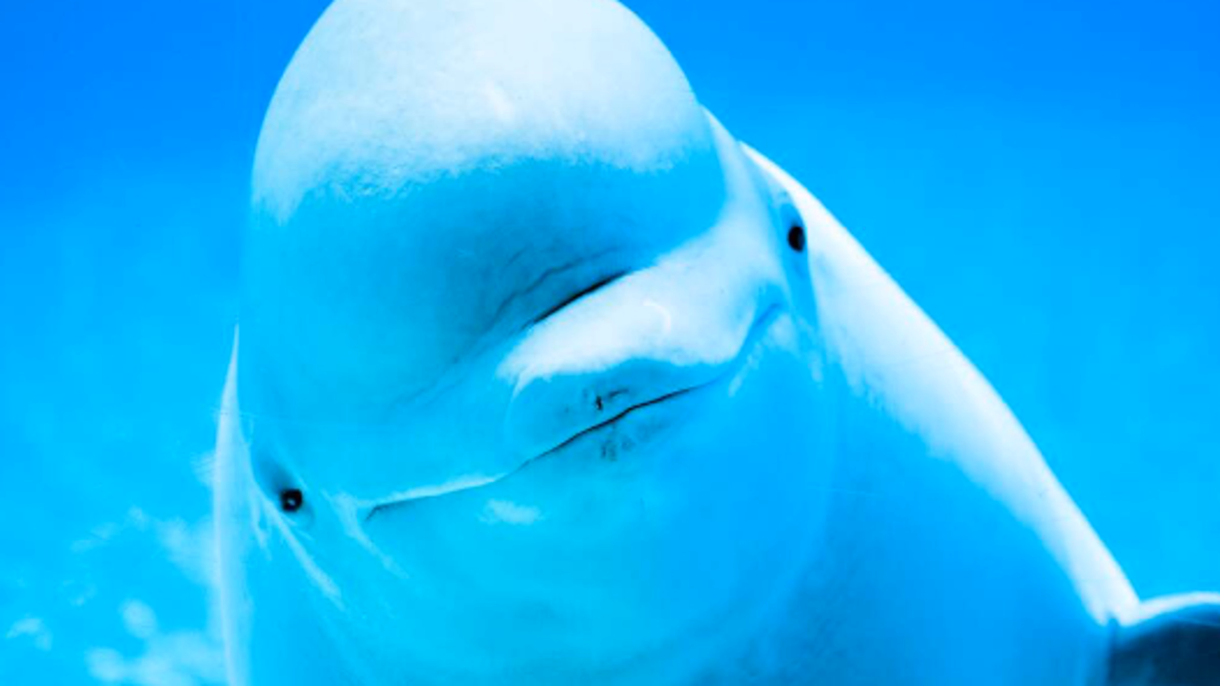 Empty the Tanks