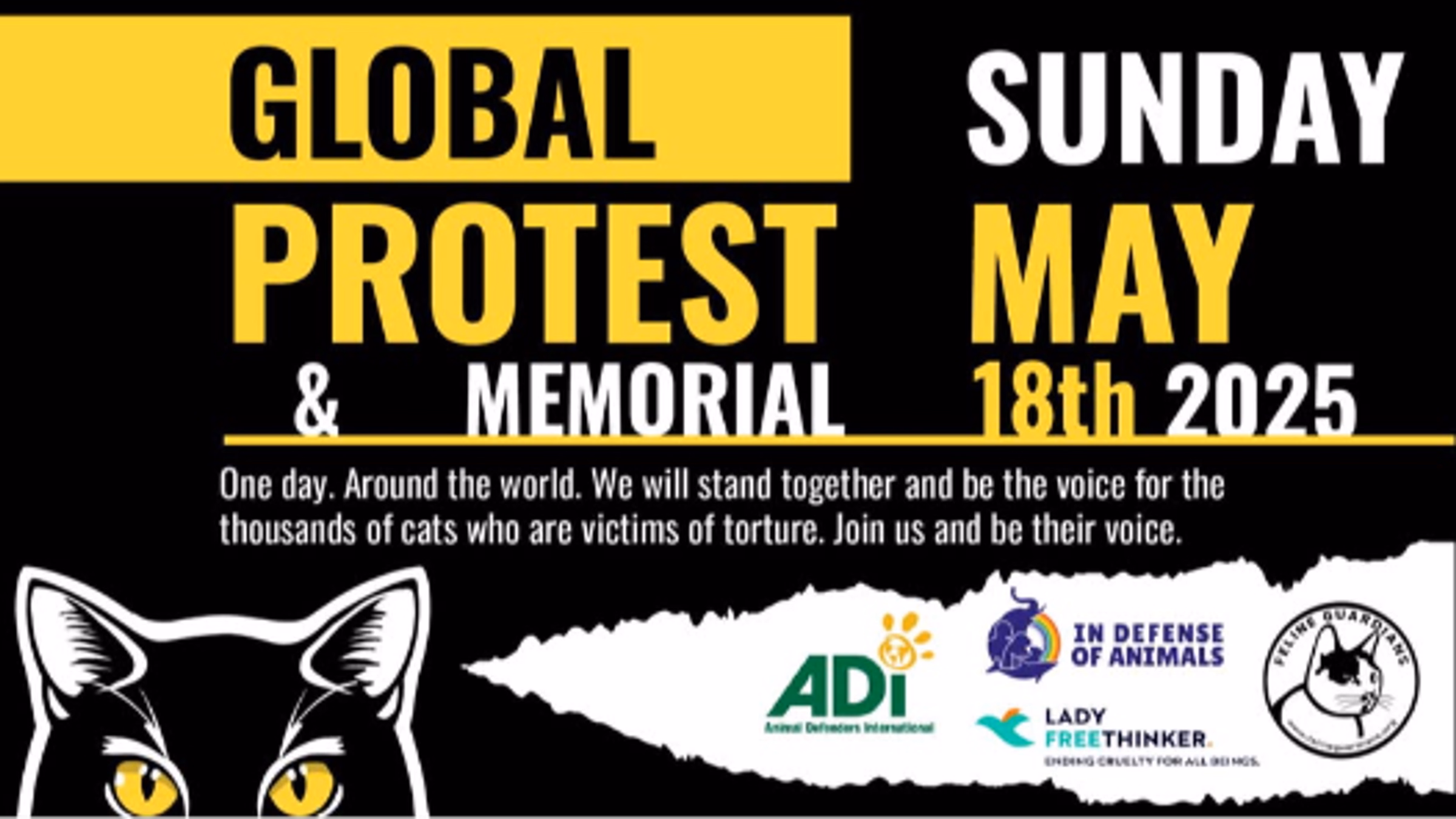 Protest & Memorial for Cats Tortured & Killed in Online Videos