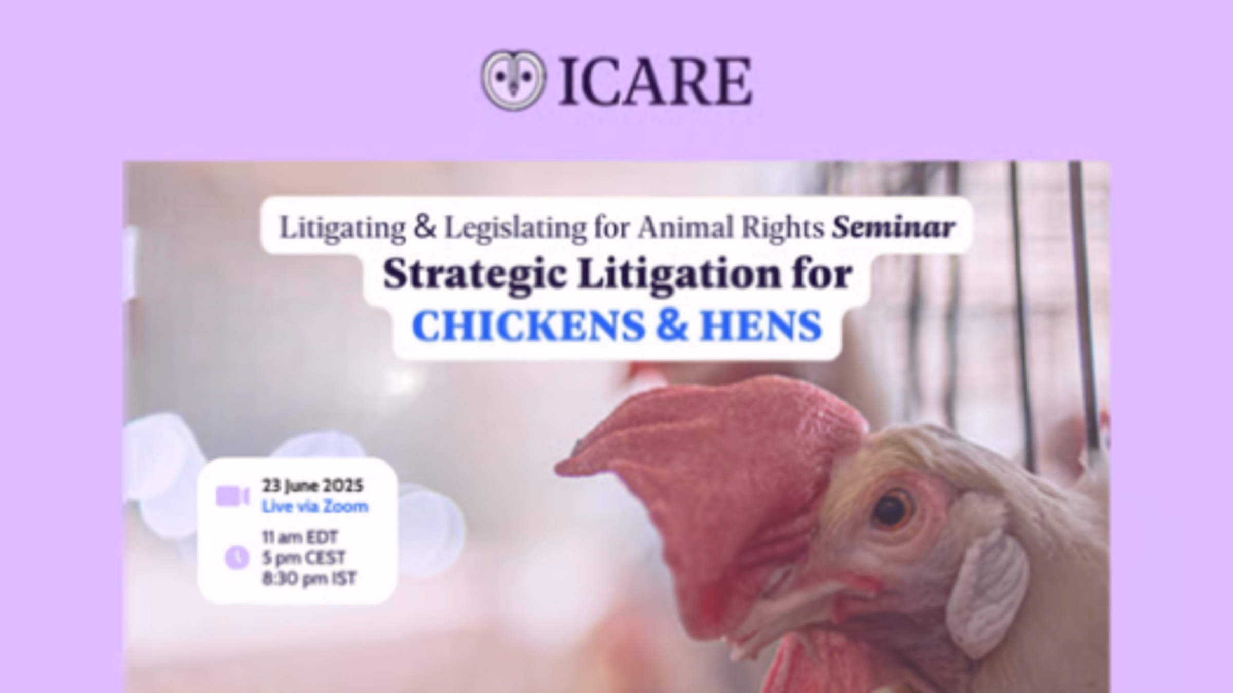 Litigating & Legislating for Animal Rights Seminar: Strategic Litigation for Chickens & Hens