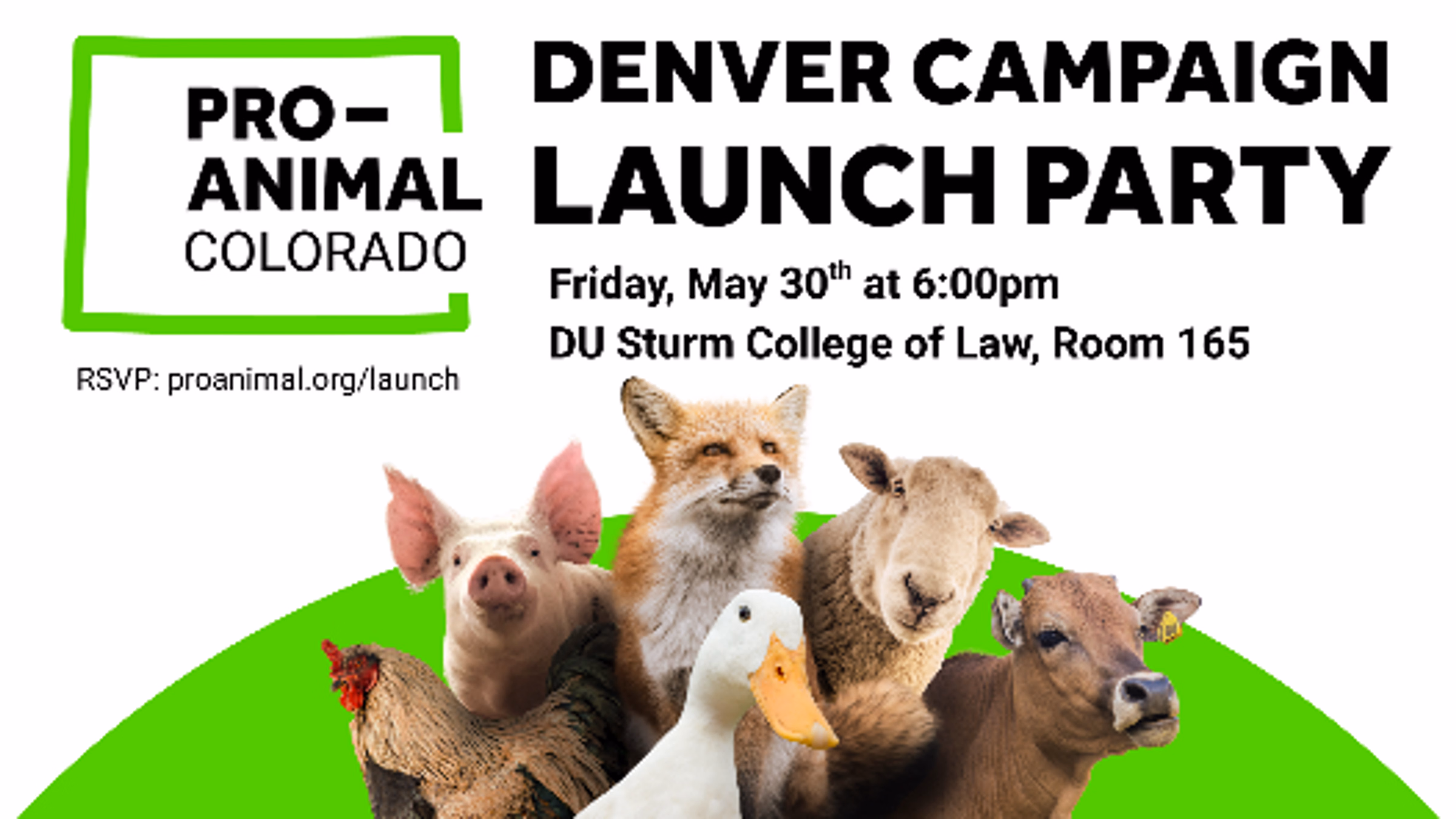 Denver Campaign Launch Party!