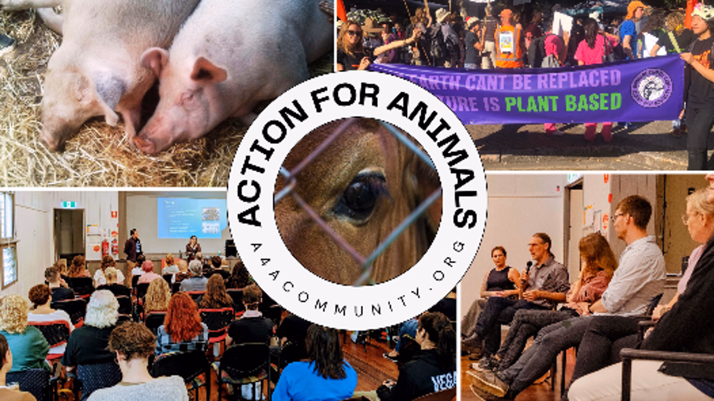 Action for Animals Community Forum 2025