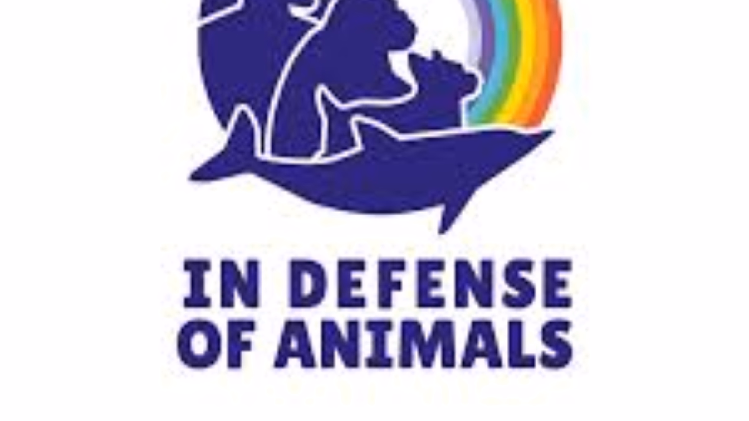 Animal Activist Online Support Group