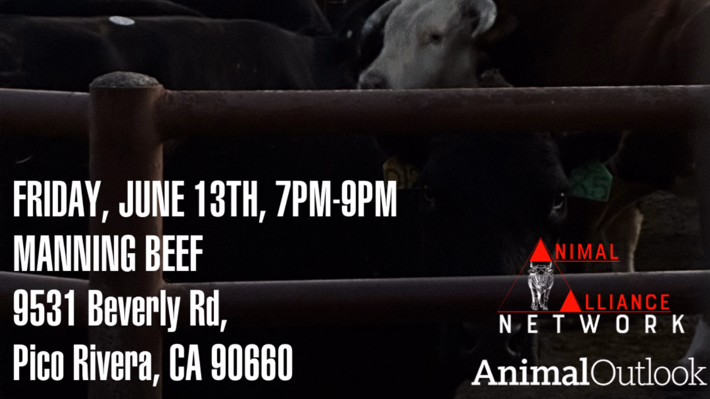 Cow vigil outside Manning Beef