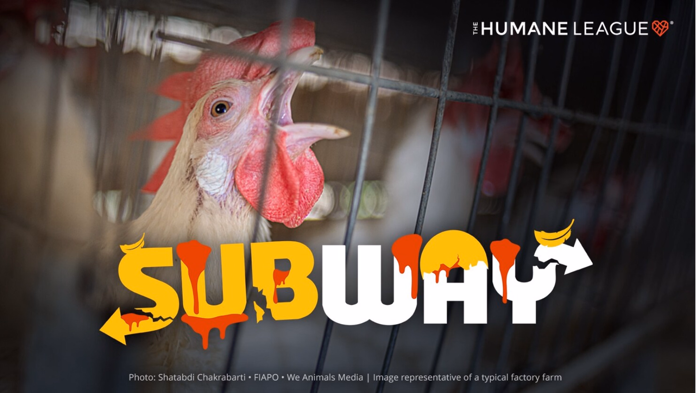 Potluck and Subway Protest Costa Mesa