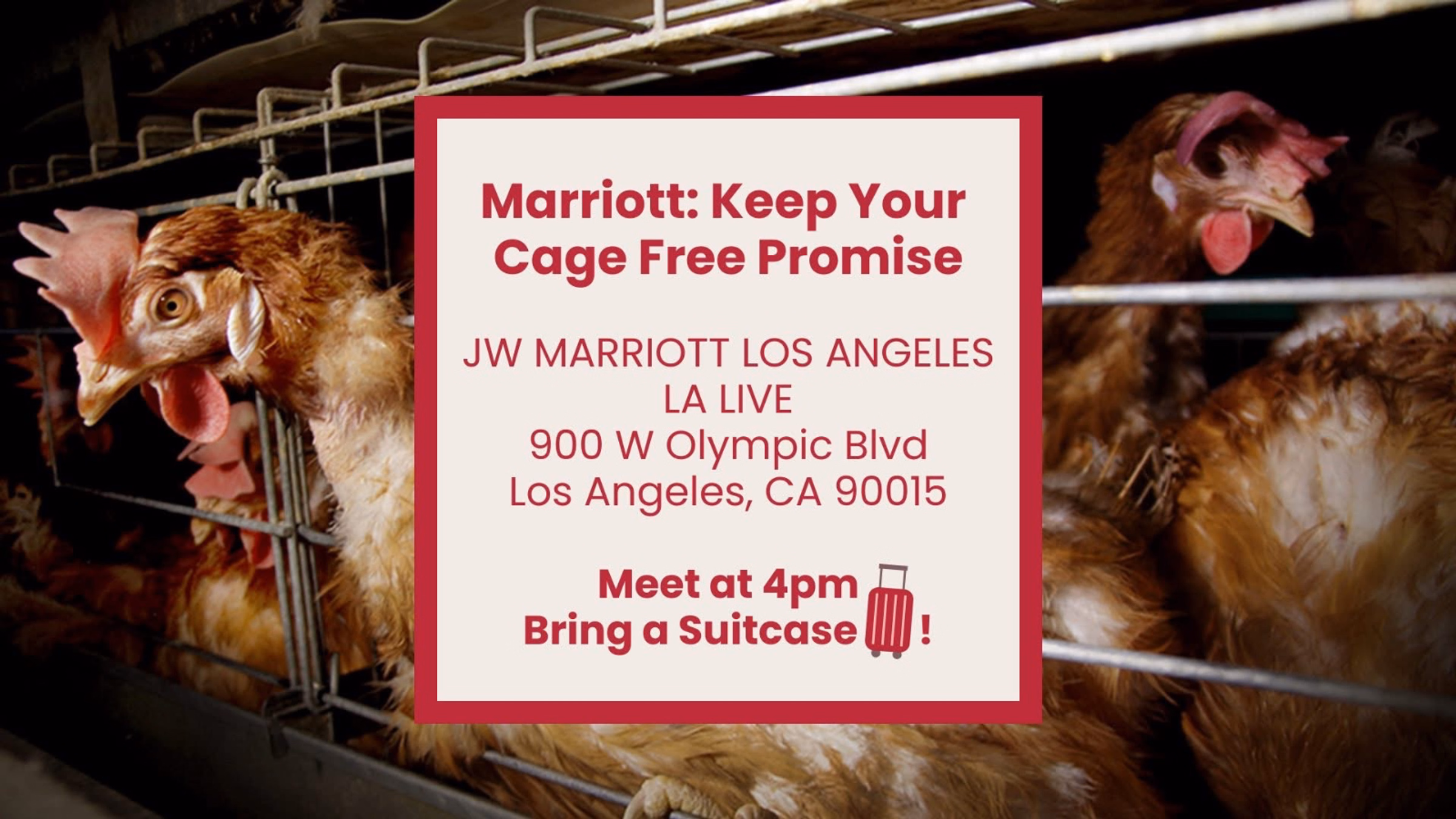 Marriott LA Live Cage Free Demo