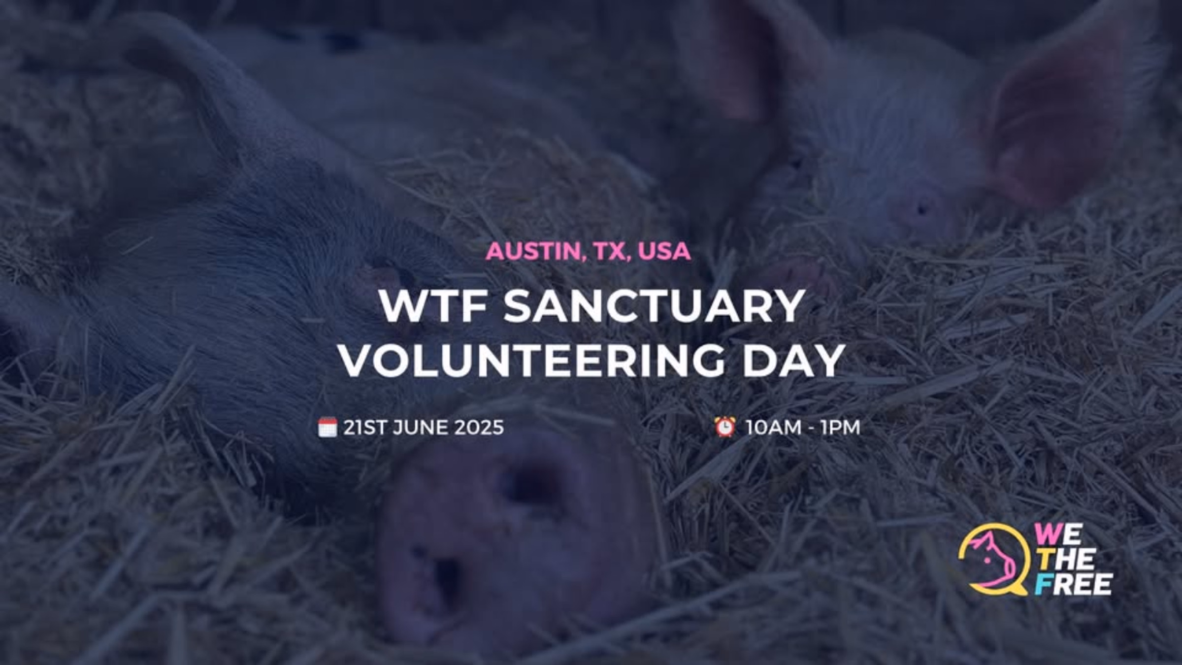 Sanctuary Volunteer Day