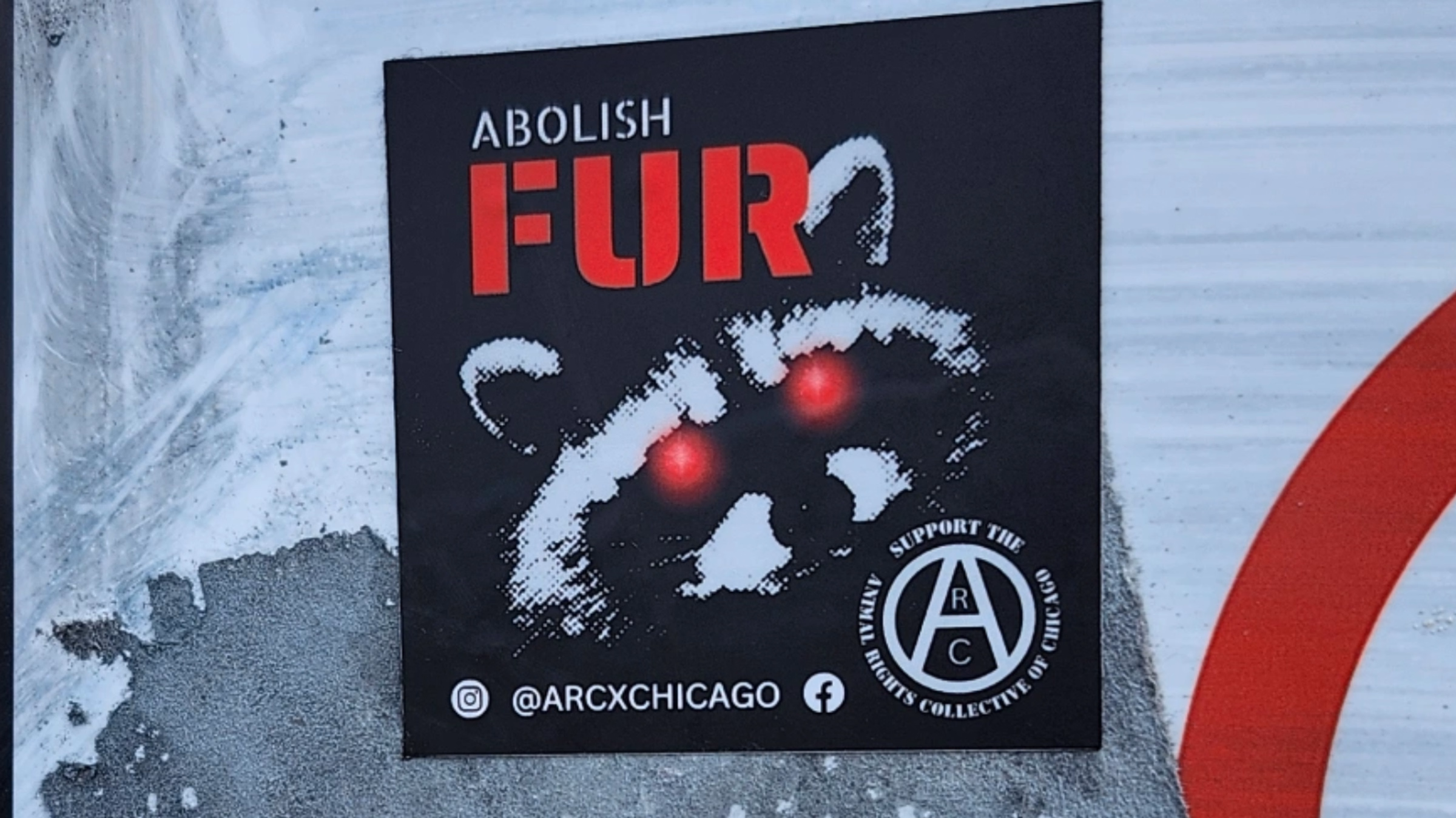 Chicago: Fur & Foie Gras Protest 6/28