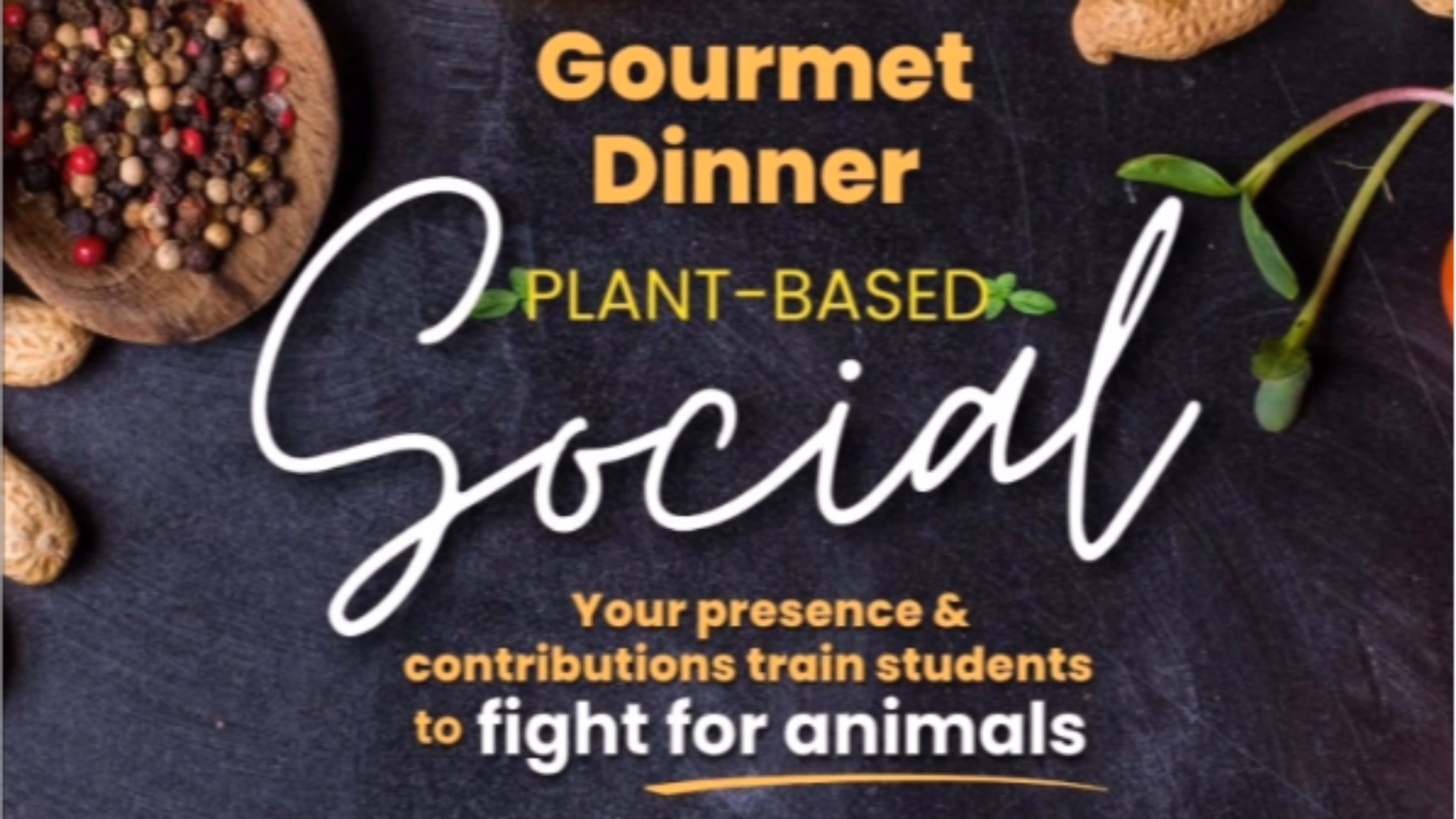 Gourmet Dinner Plant-Based Social to Benefit ASAP