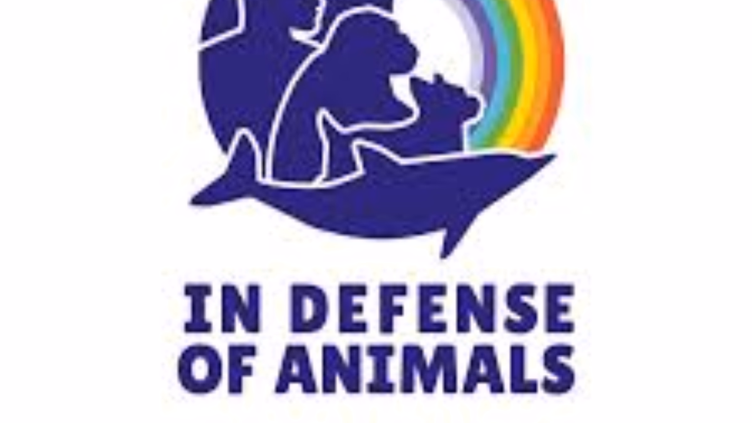 Vegan Mentor Support Group