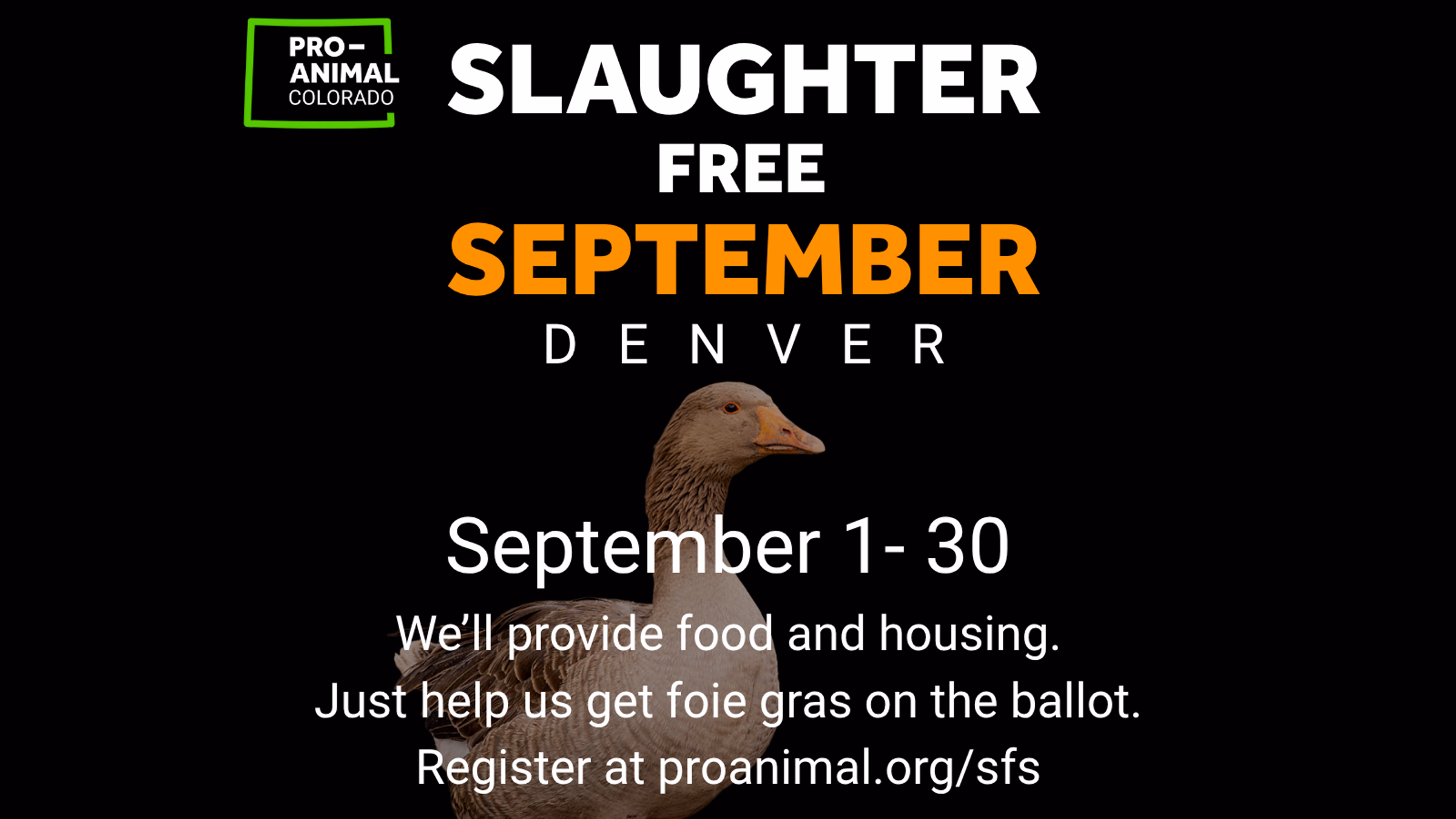 Slaughter-Free September