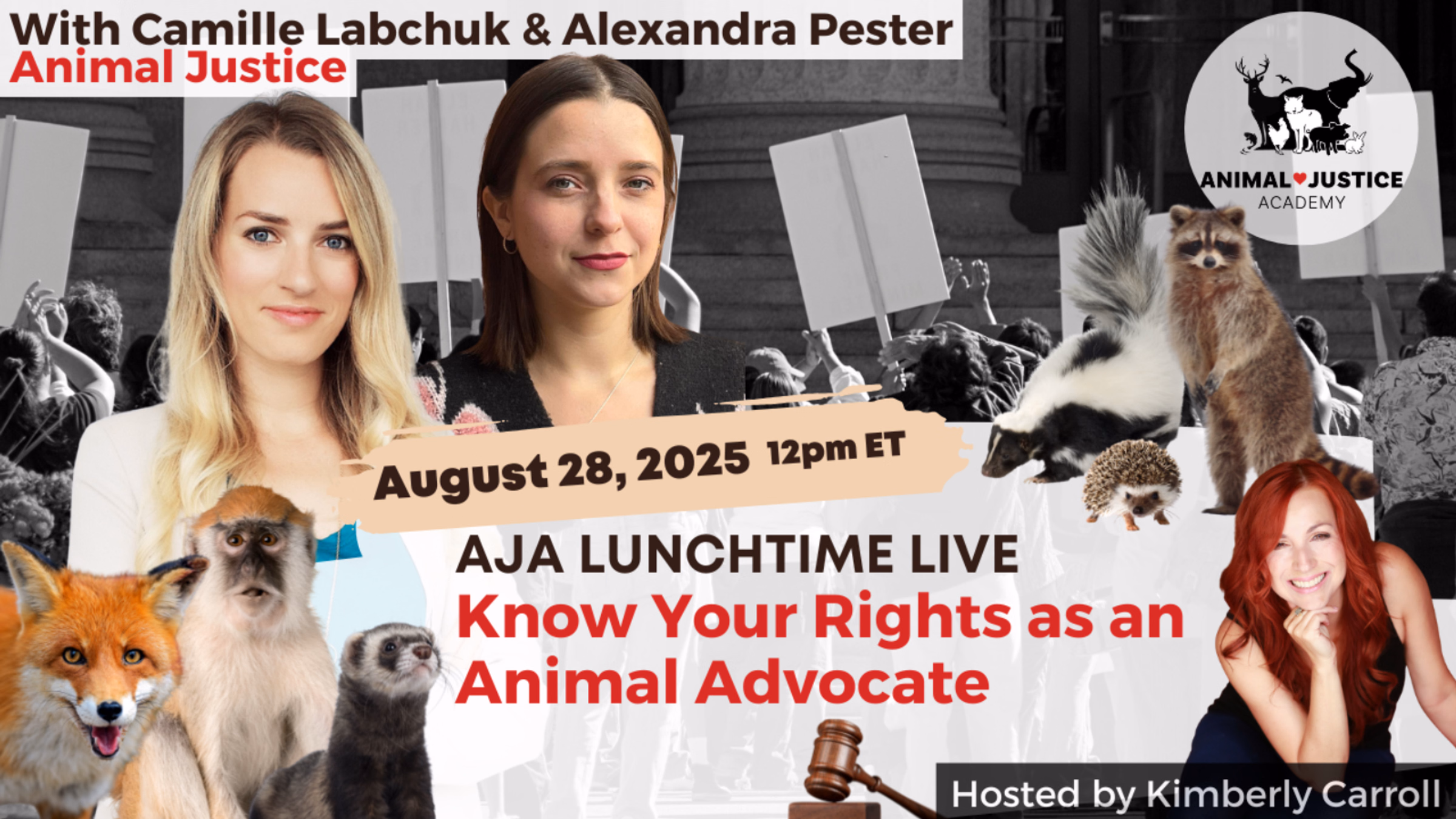 Know Your Rights as an Animal Advocate