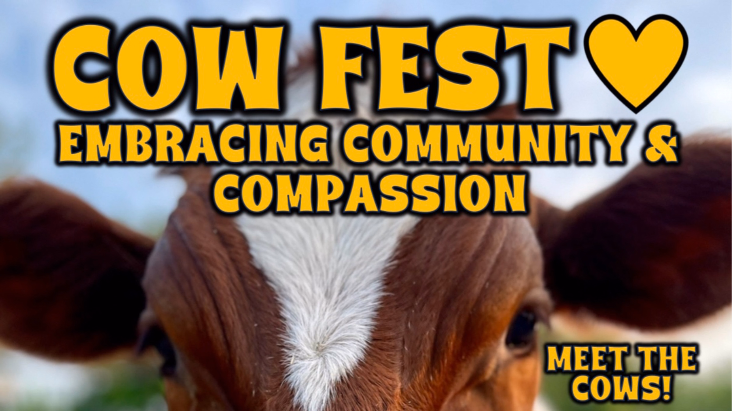 Cow Fest 2025 -- Embracing Community & Compassion